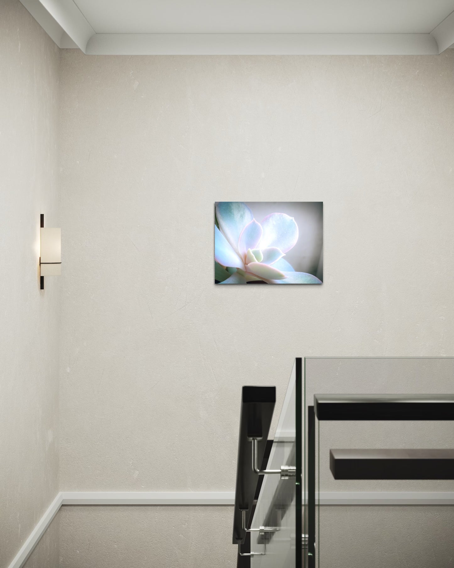 Flower Pastel Succulent Serenity – Minimal Botanical Photography Print, Soft Nature