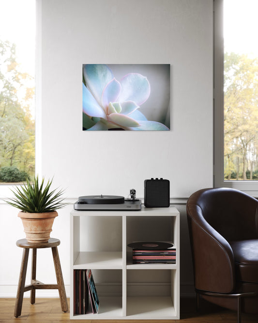 Flower Pastel Succulent Serenity – Minimal Botanical Photography Print, Soft Nature