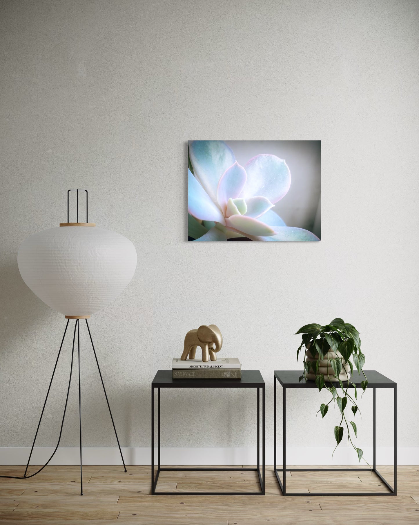 Flower Pastel Succulent Serenity – Minimal Botanical Photography Print, Soft Nature