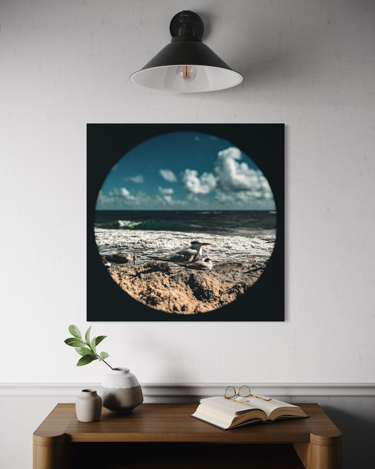 Landscape Coastal Bird Photography Print, Vintage Beach Seagull Wall Art