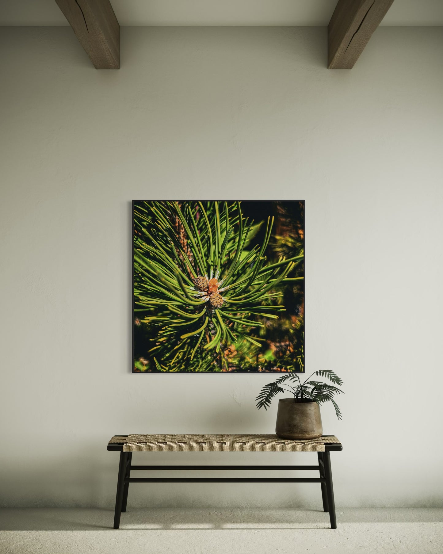 Pine Needle Macro Photography — Evergreen Nature Wall Art, Forest Botanical Print, Green Minimalist Home Decor by PolaDova. Museum-Quality Matte Paper Poster