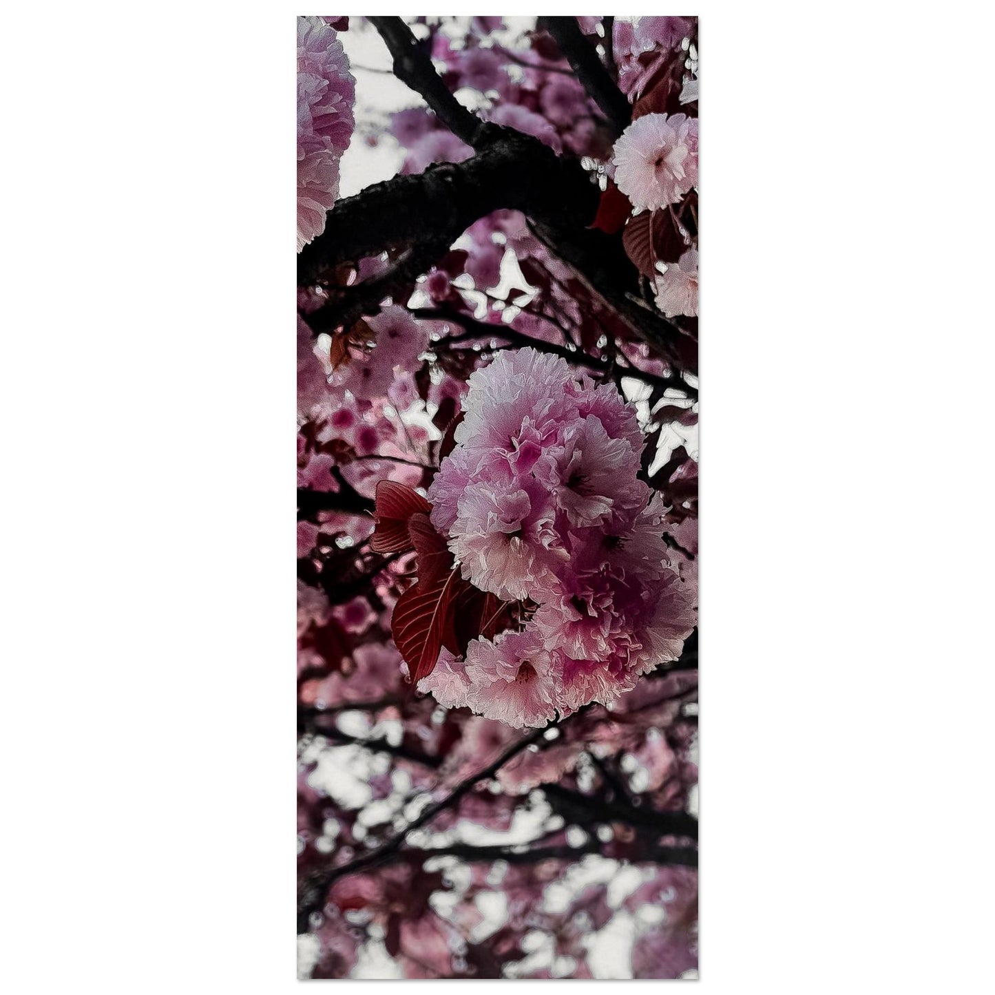 a044c866-4596-4fe9-b59f-fa1115c940c4