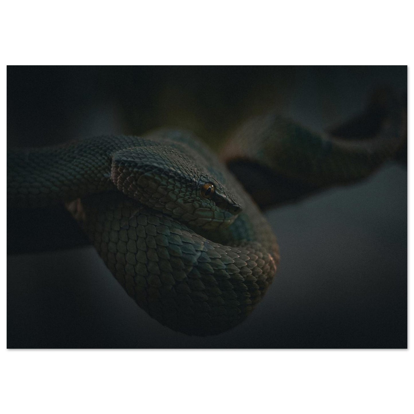 a0541da6-7f9e-4776-b34f-25e42786ba6a