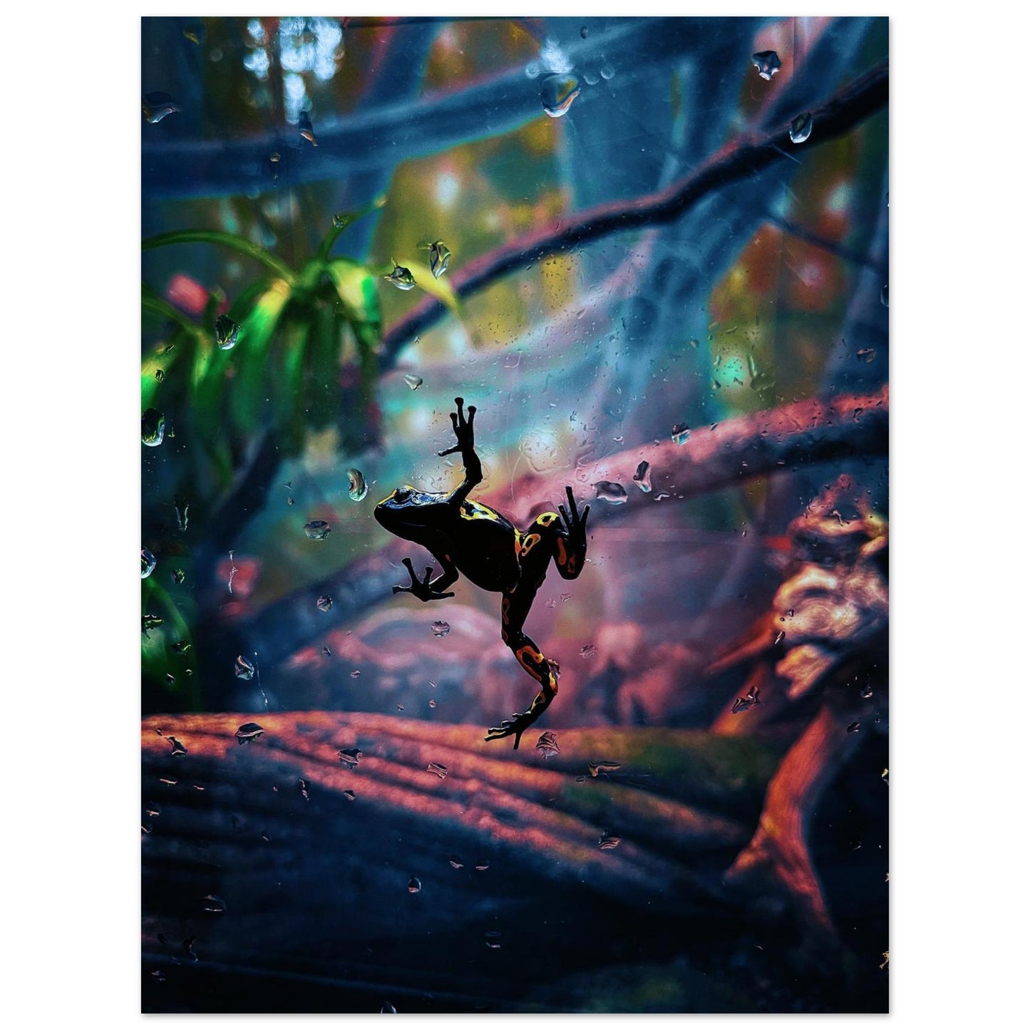 a0cf77b5-f9f1-4a26-a4b9-cb7f787af5b2