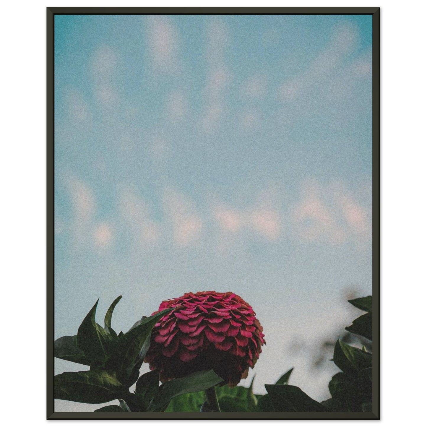 a180df5f-5582-4e16-9621-84bb4031462e