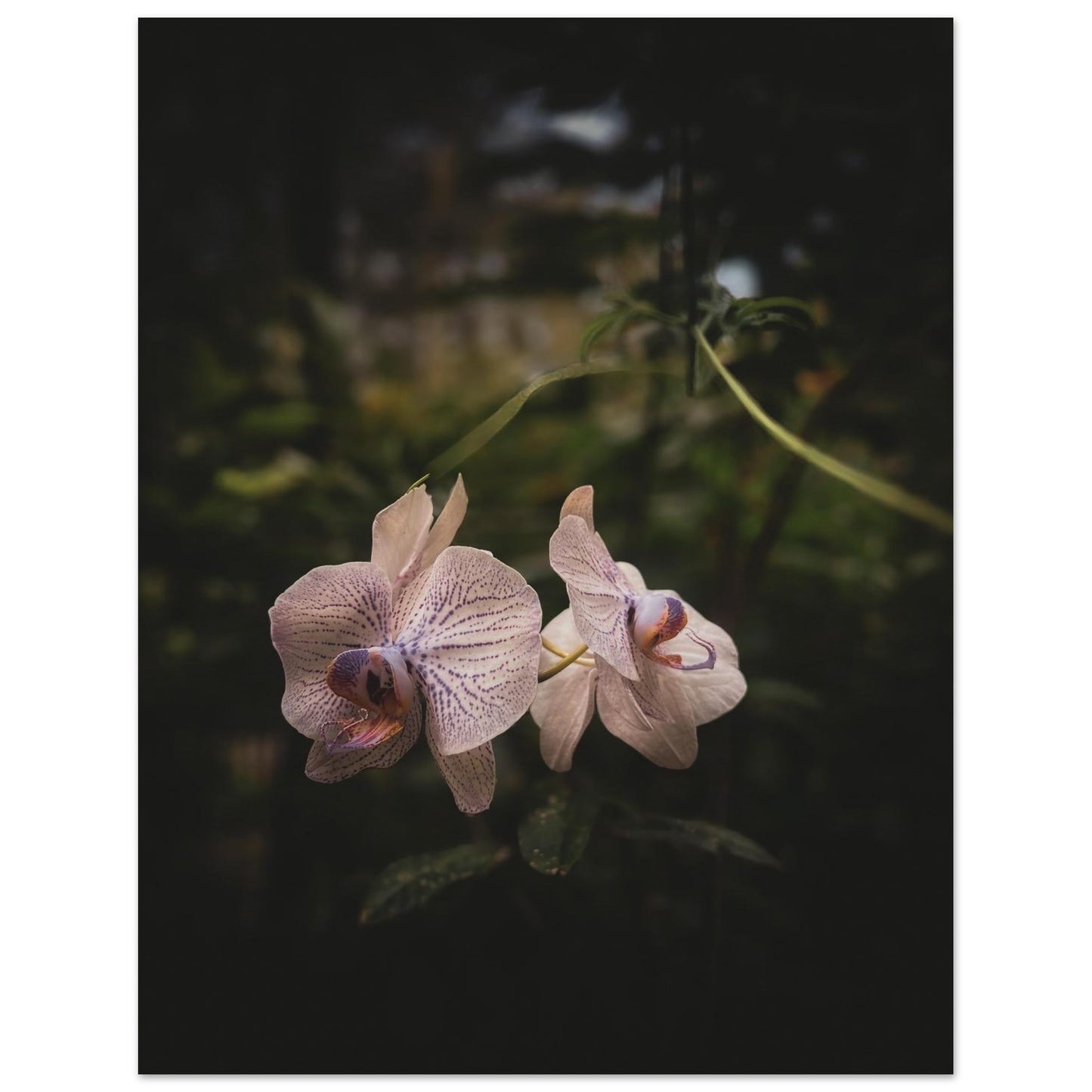 a2138247-bf83-4cb0-8e26-64f7c30b6a5f