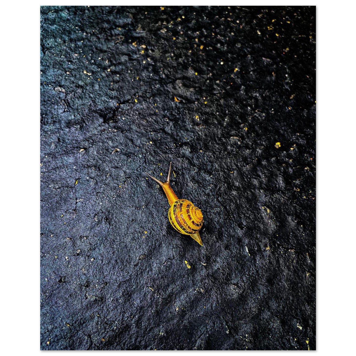 a448b870-7b5e-477b-ad25-11bd95c76d34