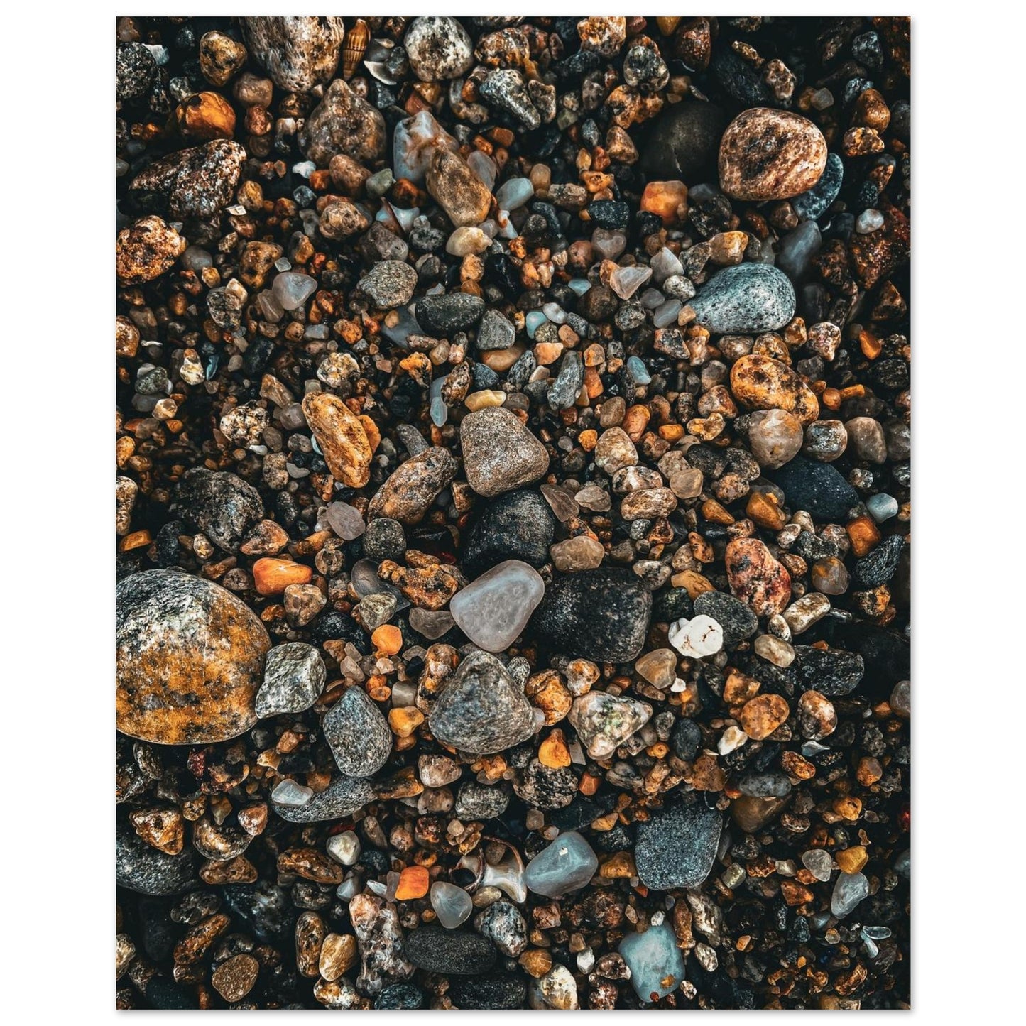 a48b7683-8a98-46b9-ba52-91b69e3606a8