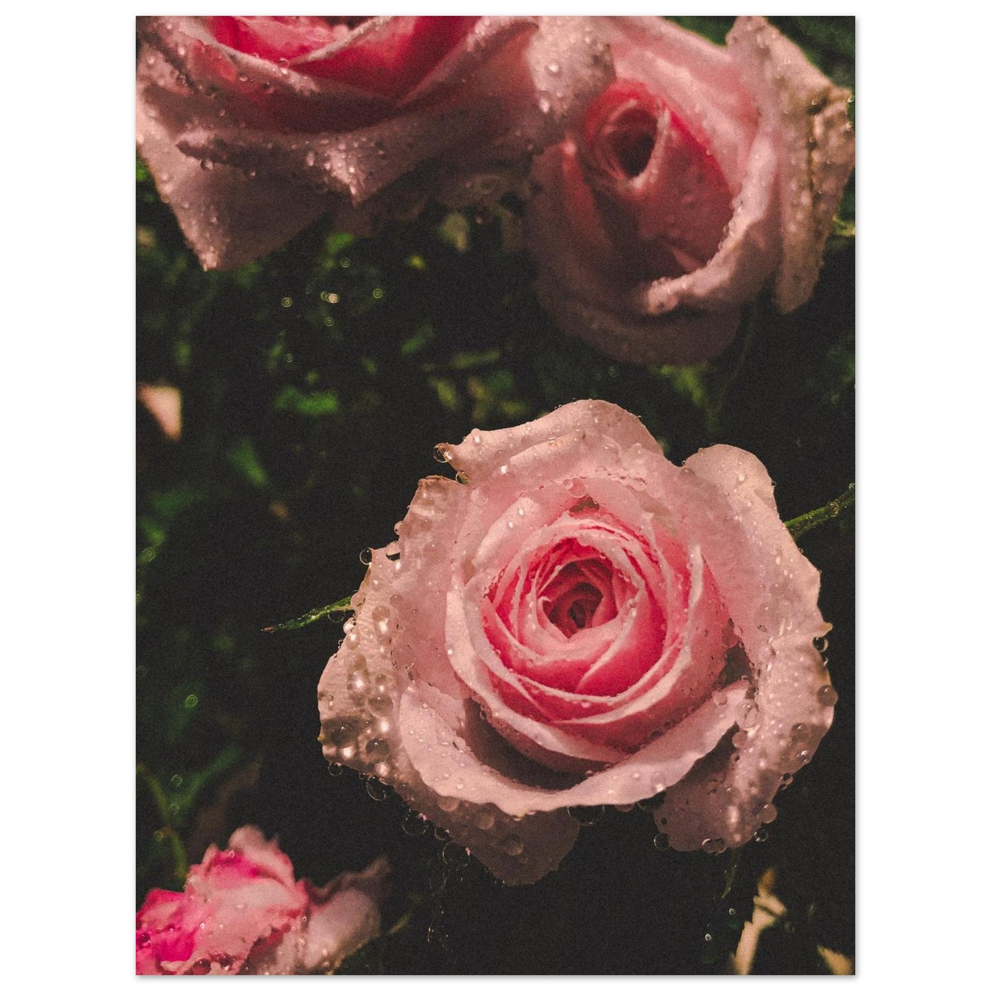 a7b4a084-0fdf-4542-bcfc-b23a52f66ba9