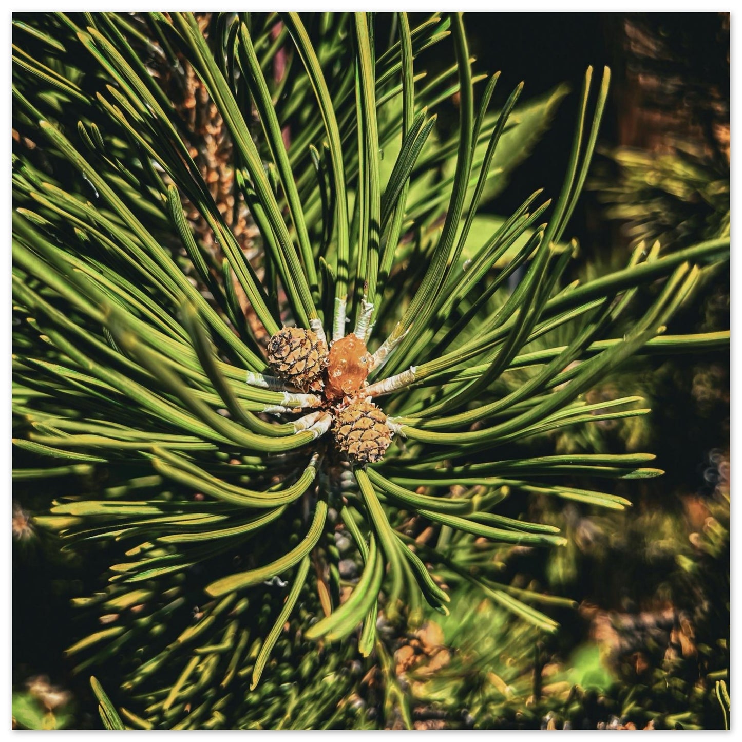 a7fc0454-3701-4551-96bf-87b2fe04cd91