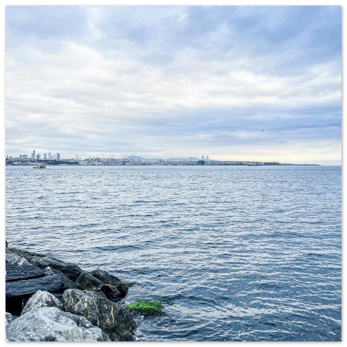 a8020f68-9f7d-409c-a244-03cd7ba9940f