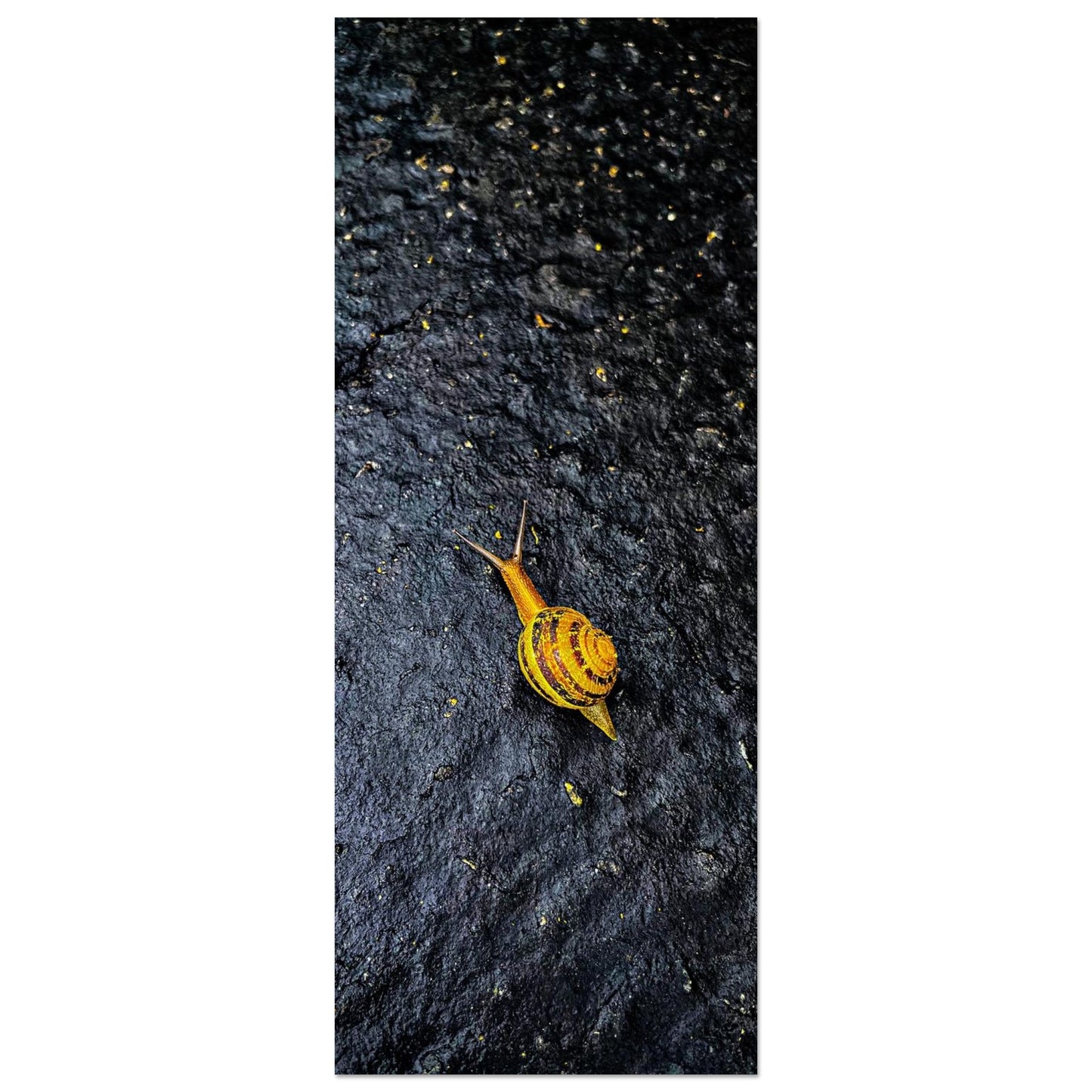 a9357f85-7b20-4962-ad73-862f48ff2120