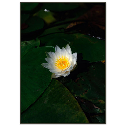 ad43e62c-bd74-41c6-9b37-9a252d73bf6d