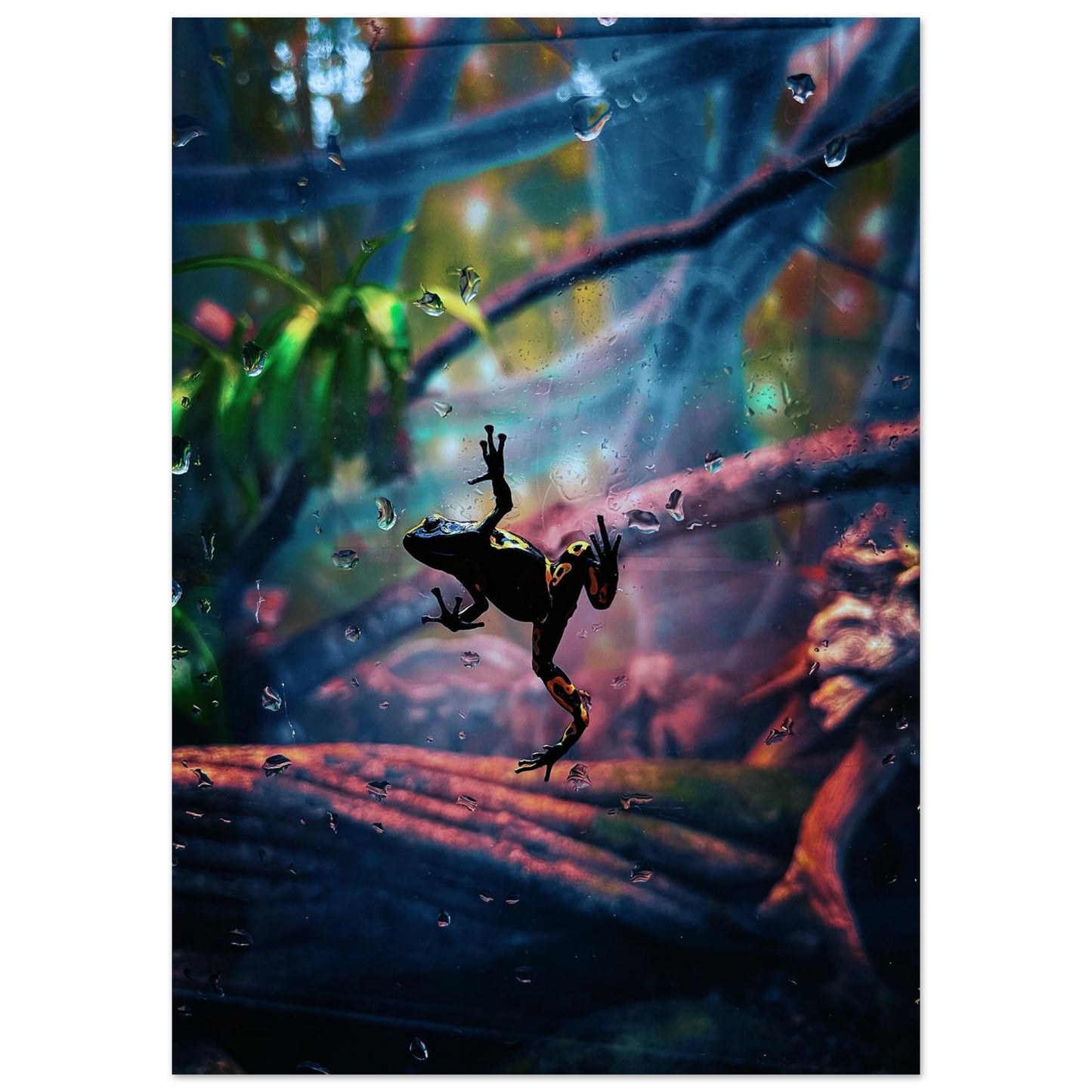 ad86991d-5a52-4f92-9beb-252b9f1be64d