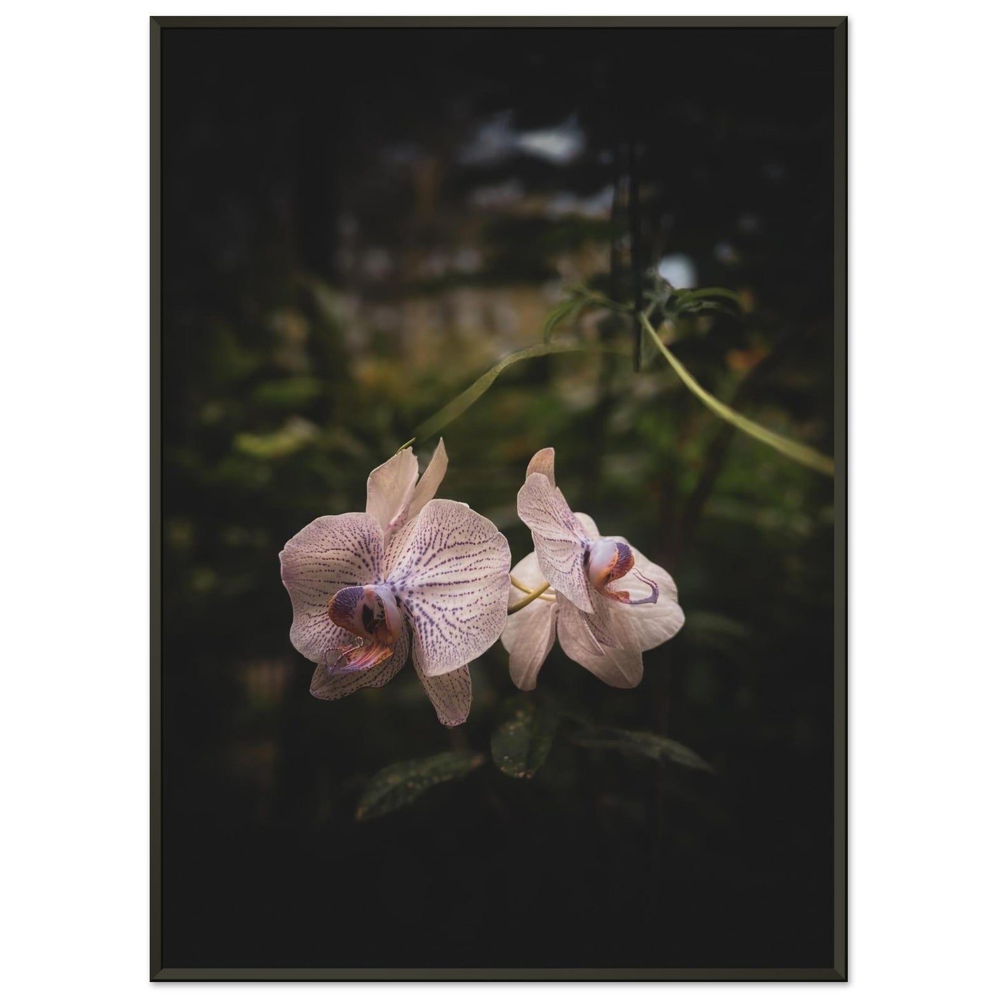 aebd71b6-88ea-4278-9650-2267f61f637a