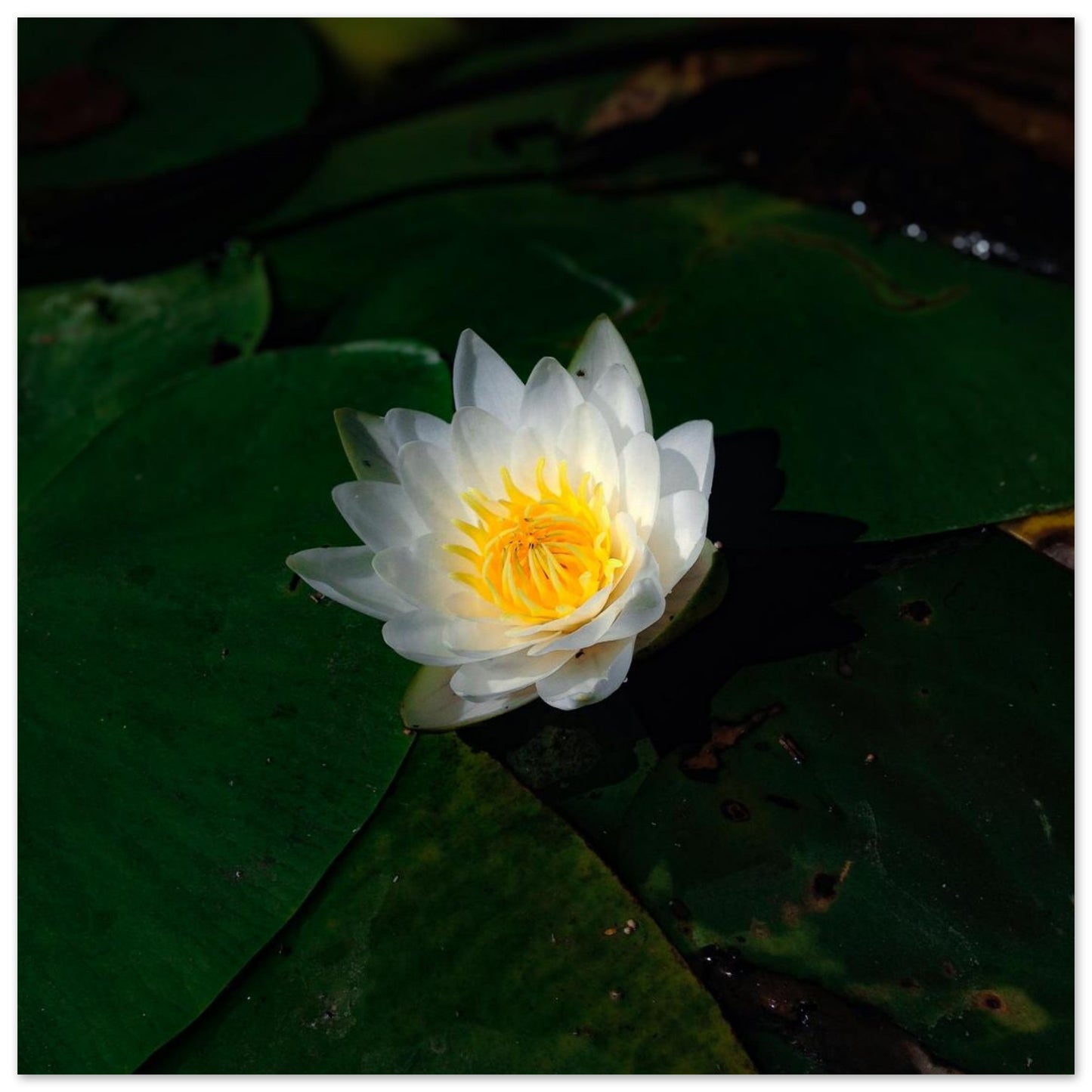 b1d241f8-87e3-4c91-a5d9-160a3001f9f7