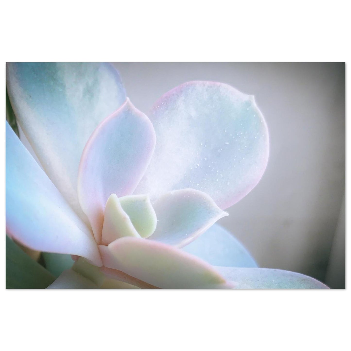 b1f11227-d292-432f-a4f7-de032e625d1e