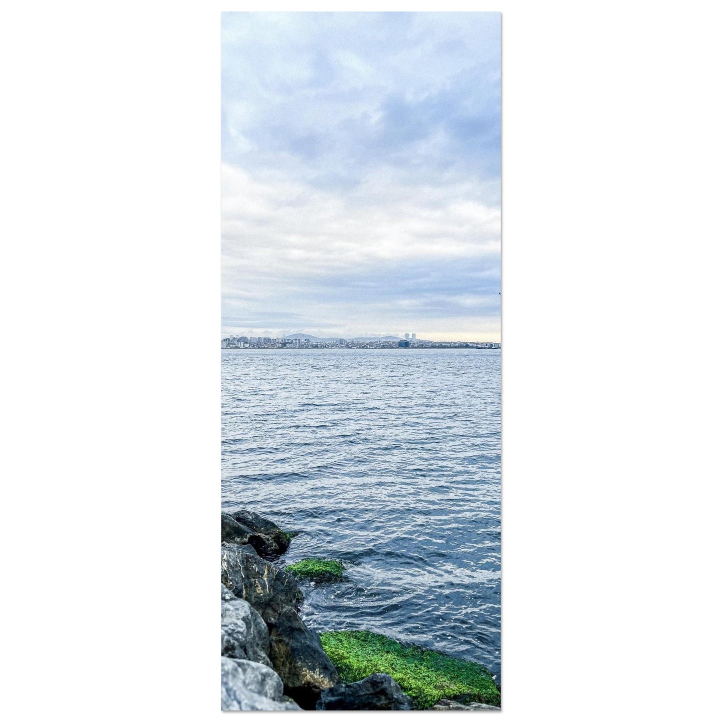 b274b934-6465-42b1-bcc9-ae2e042f93a2