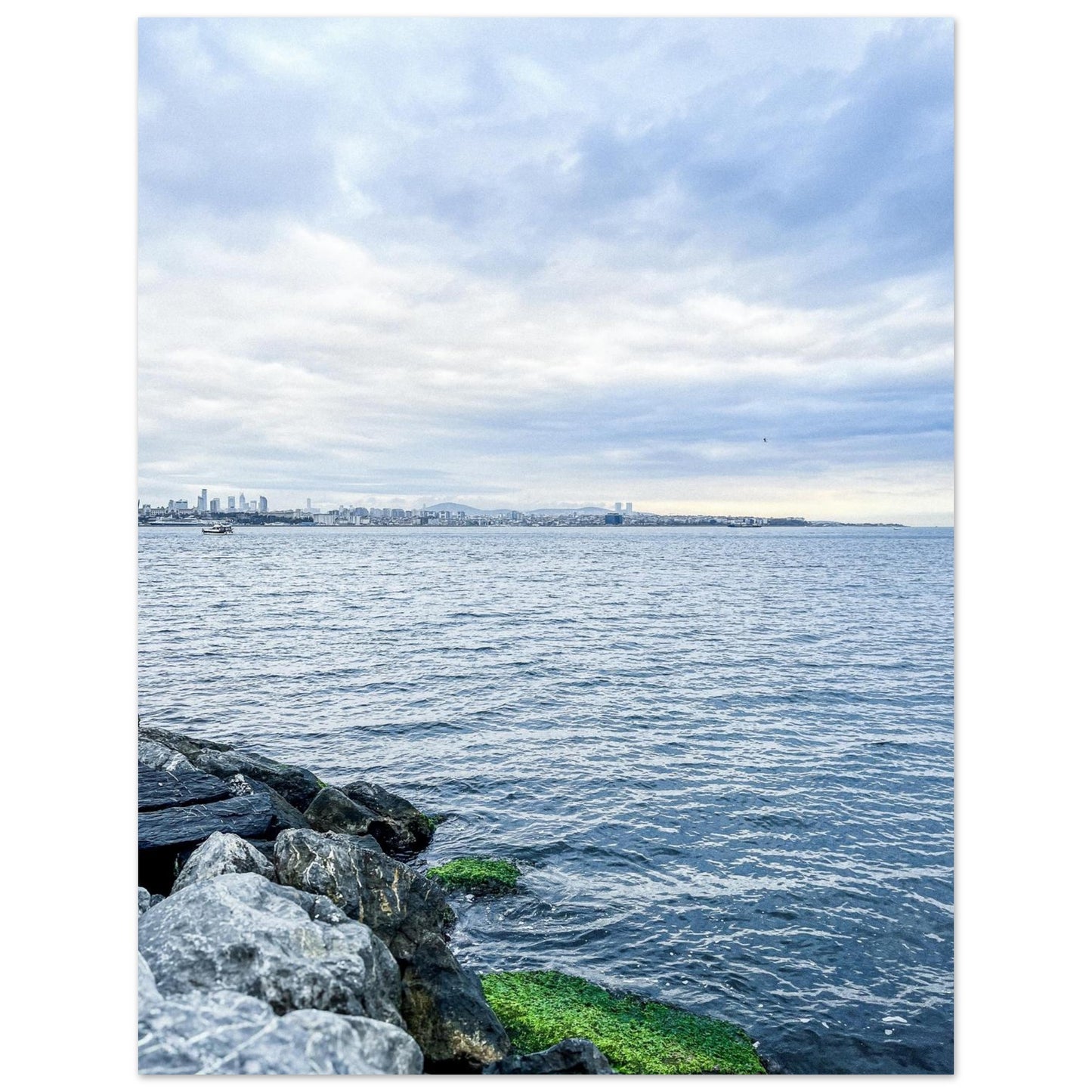 b34bc498-8d8a-4652-aedf-8e5951d7a43e