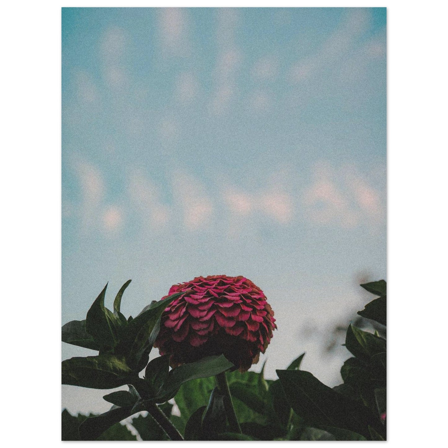 b4d83172-11b9-4630-96a6-760beda0ca87