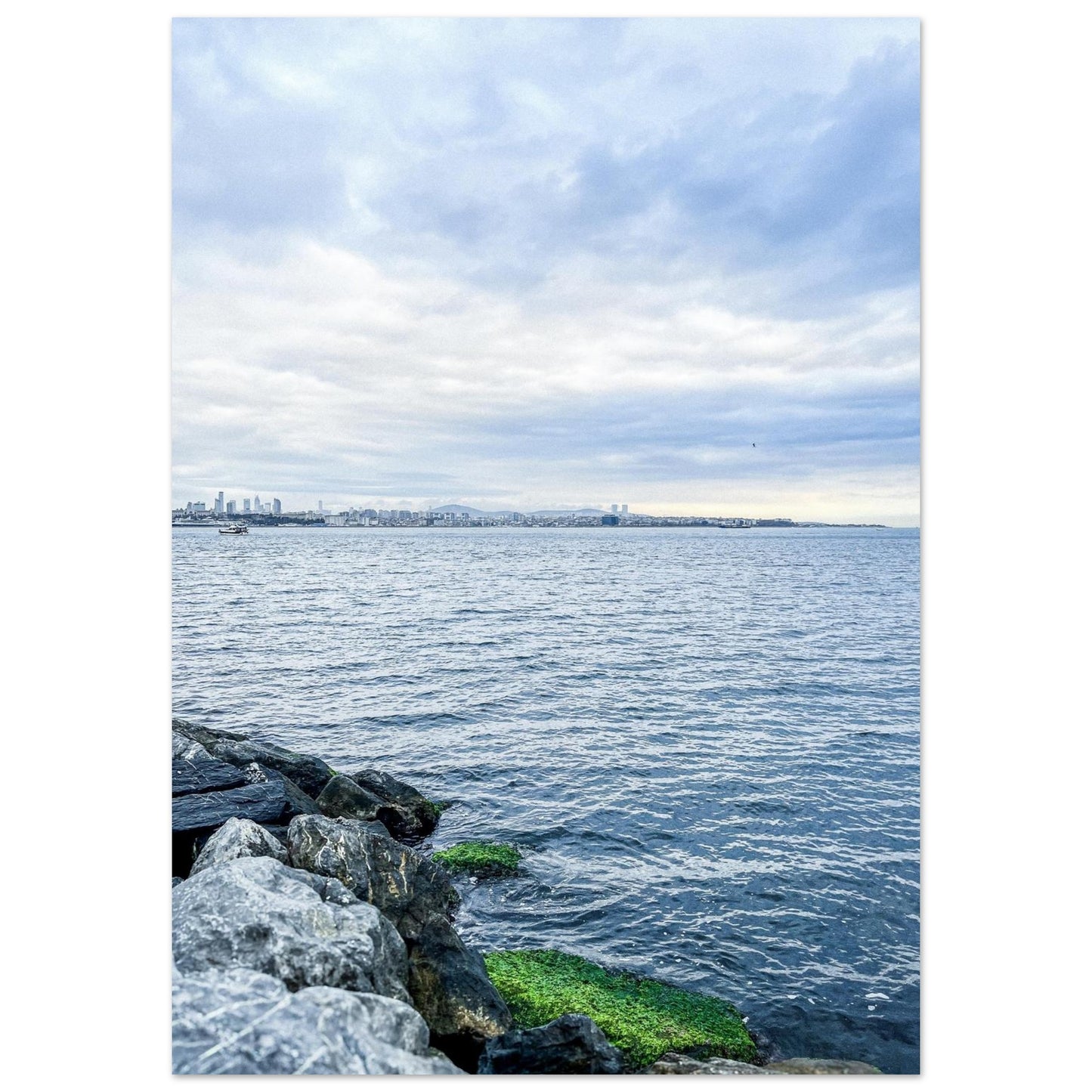 b561aeb2-c614-4237-adf9-88049ed3706a