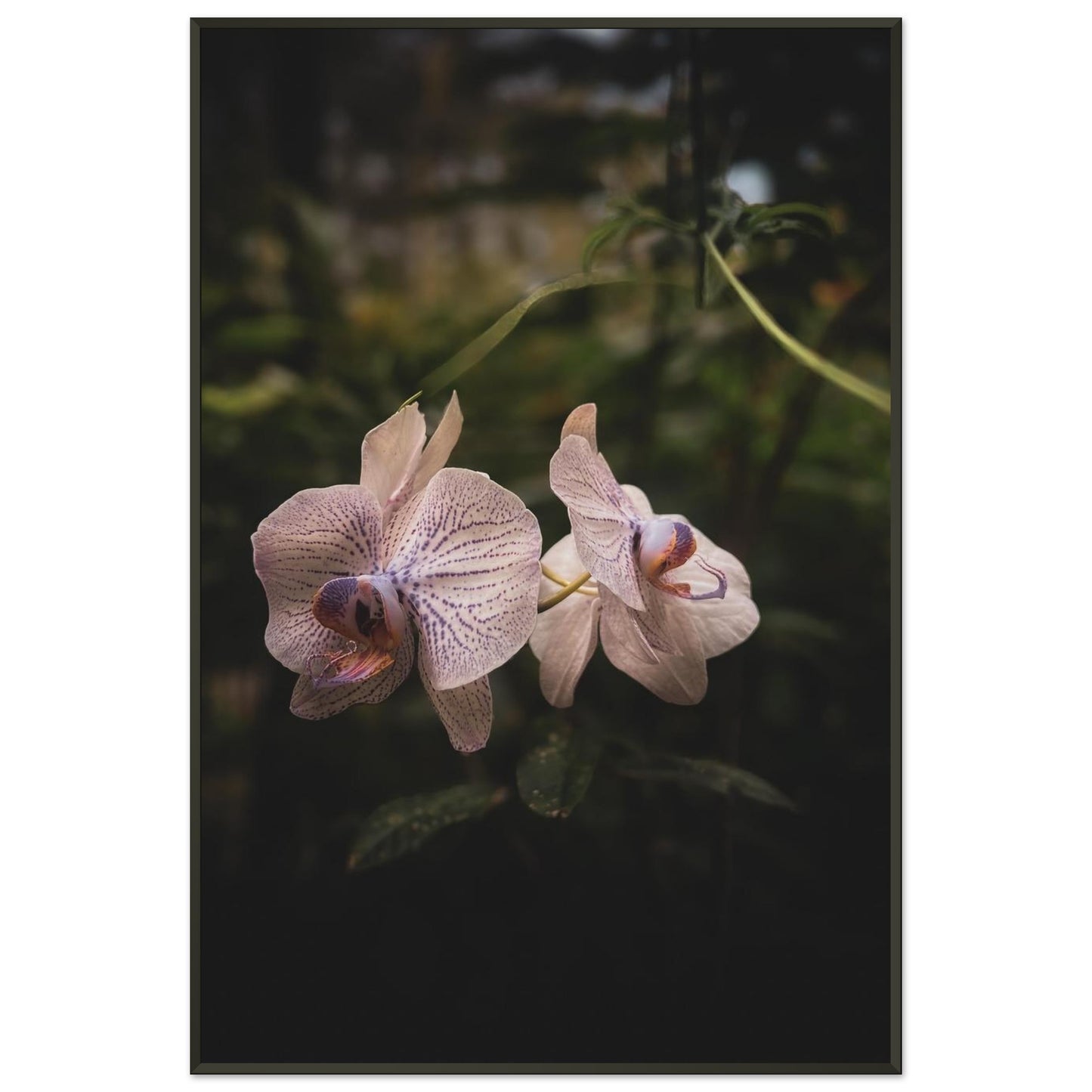 b738946b-4e57-4b8e-b335-412e4b38004c