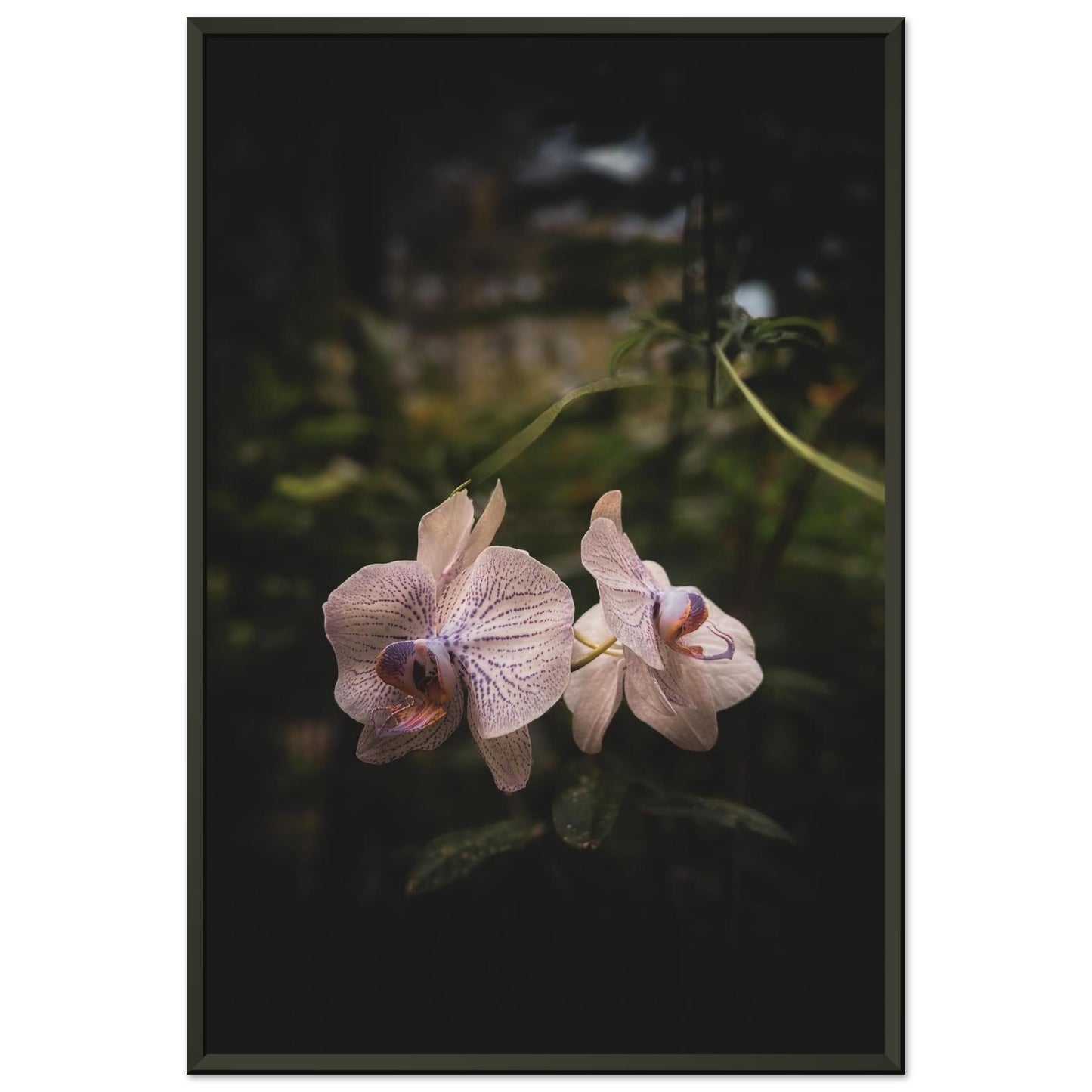 b75f847c-aab7-4fd1-9397-652f2e35baa7