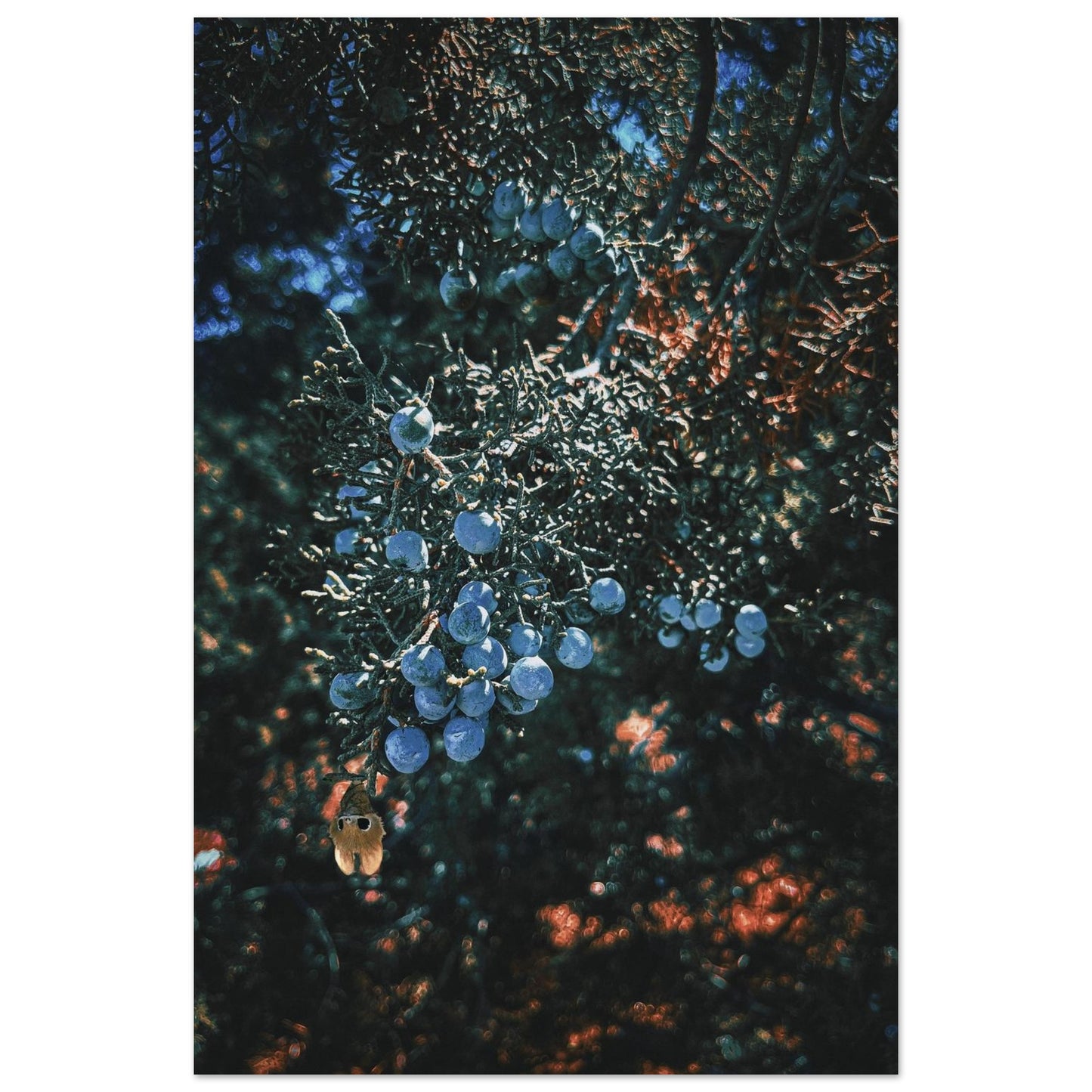 b8d2bf1b-0fd8-4a0d-94c1-e09b13bc91e1