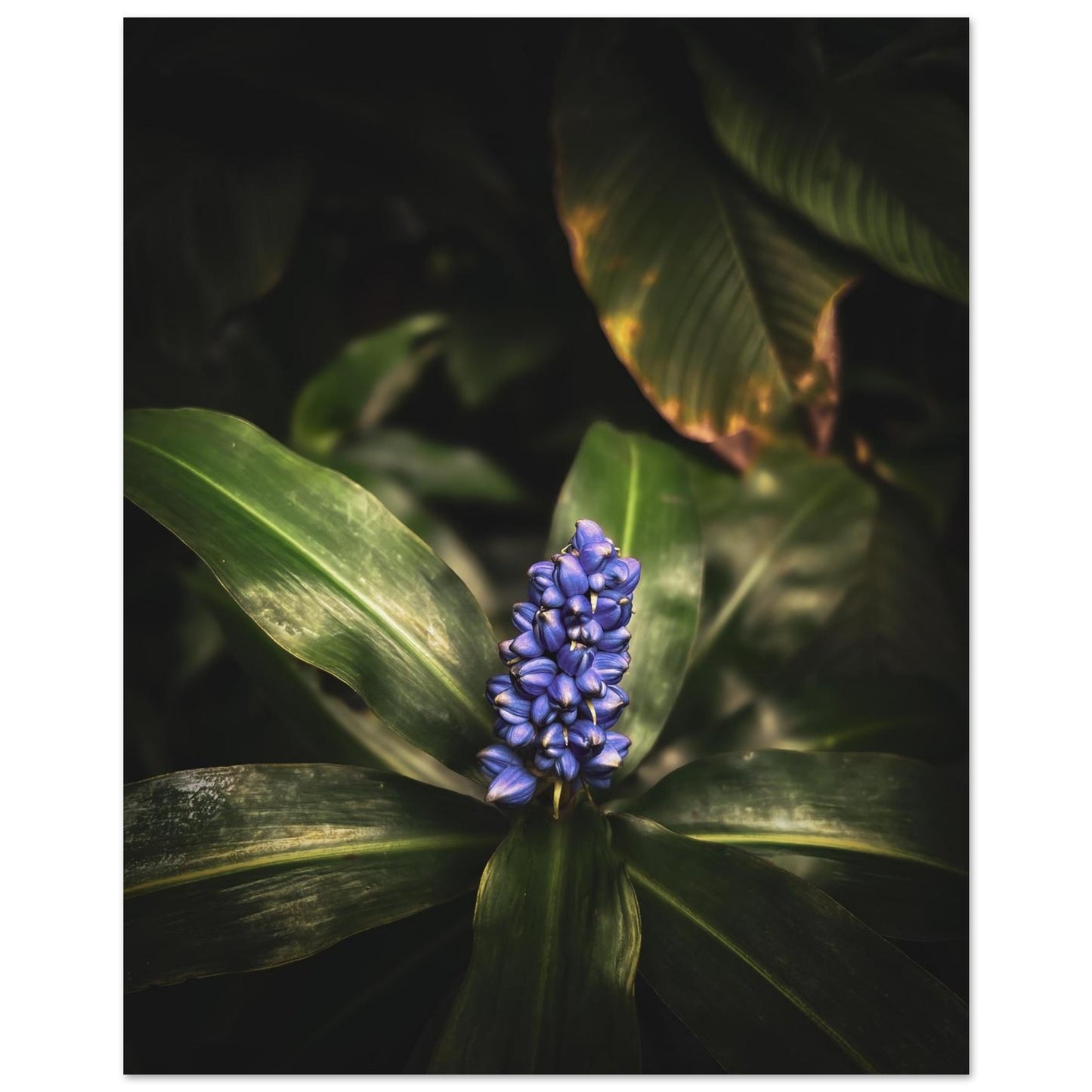 ba409ad8-3977-4038-aa9c-049a74f57381