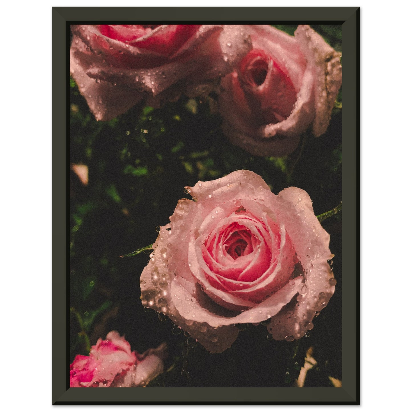 bc4a46f7-b0ed-400f-8af7-21c744502d87