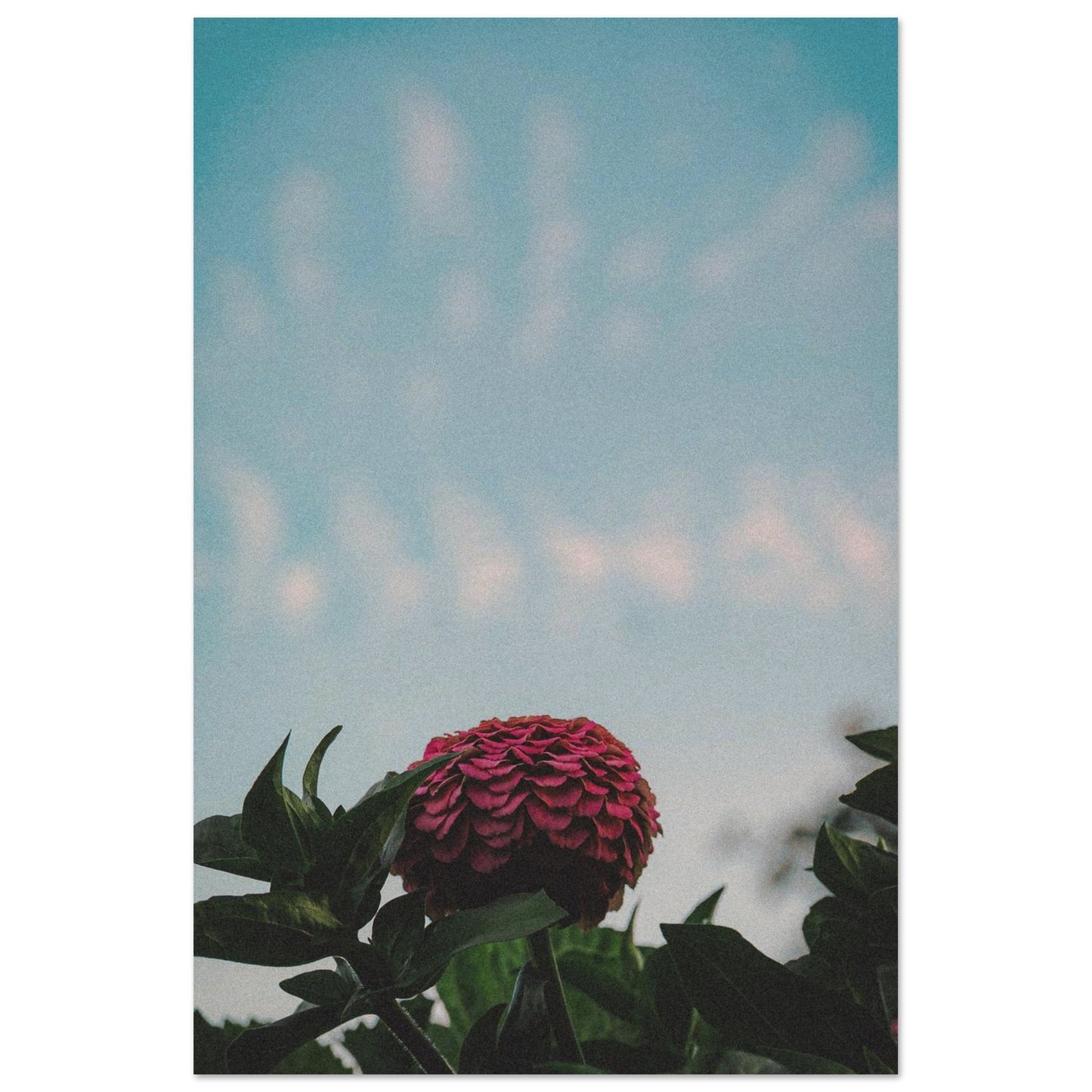 bd306045-680e-4e63-b881-d391ab4f83ff