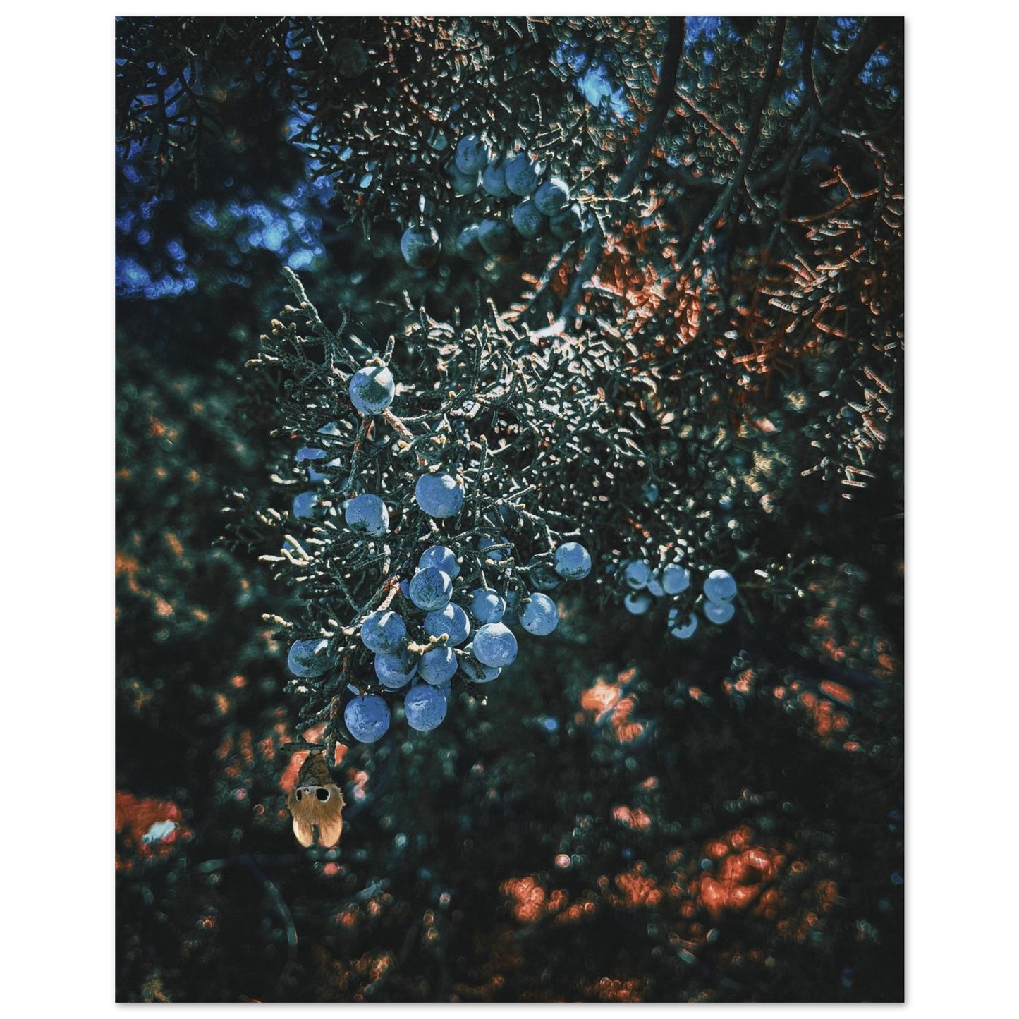 bdb9f6f0-3fd6-4d97-8317-6eba8bfee2b6