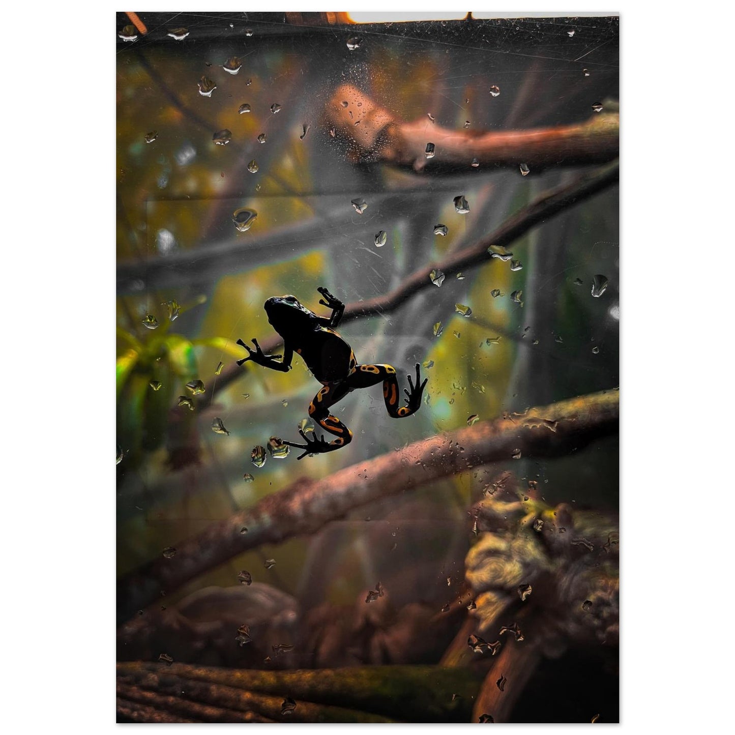 bfb932cb-1626-48e0-b92e-b29da390b859