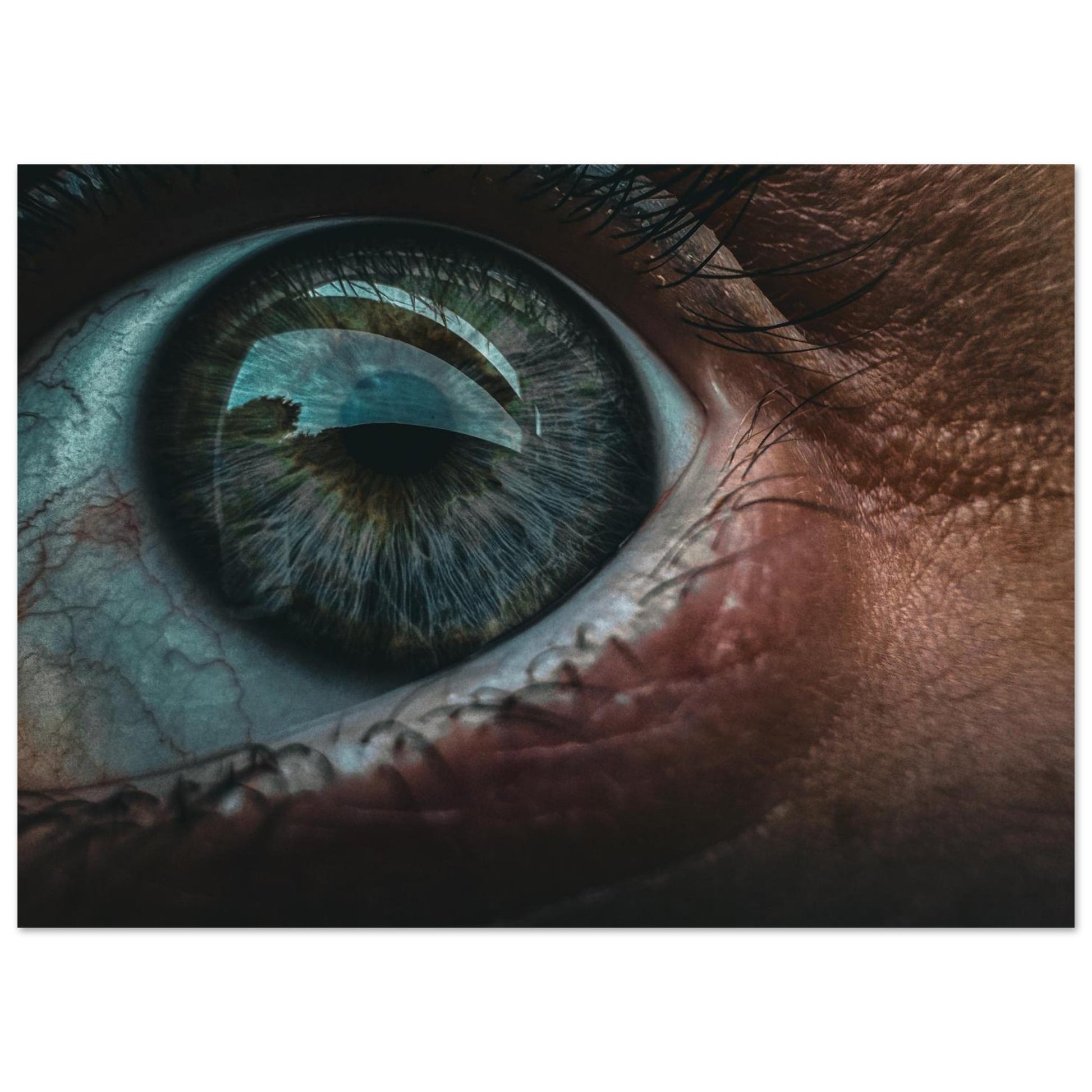 c014f9de-7b4e-4f95-aaee-b85c6beb0e98