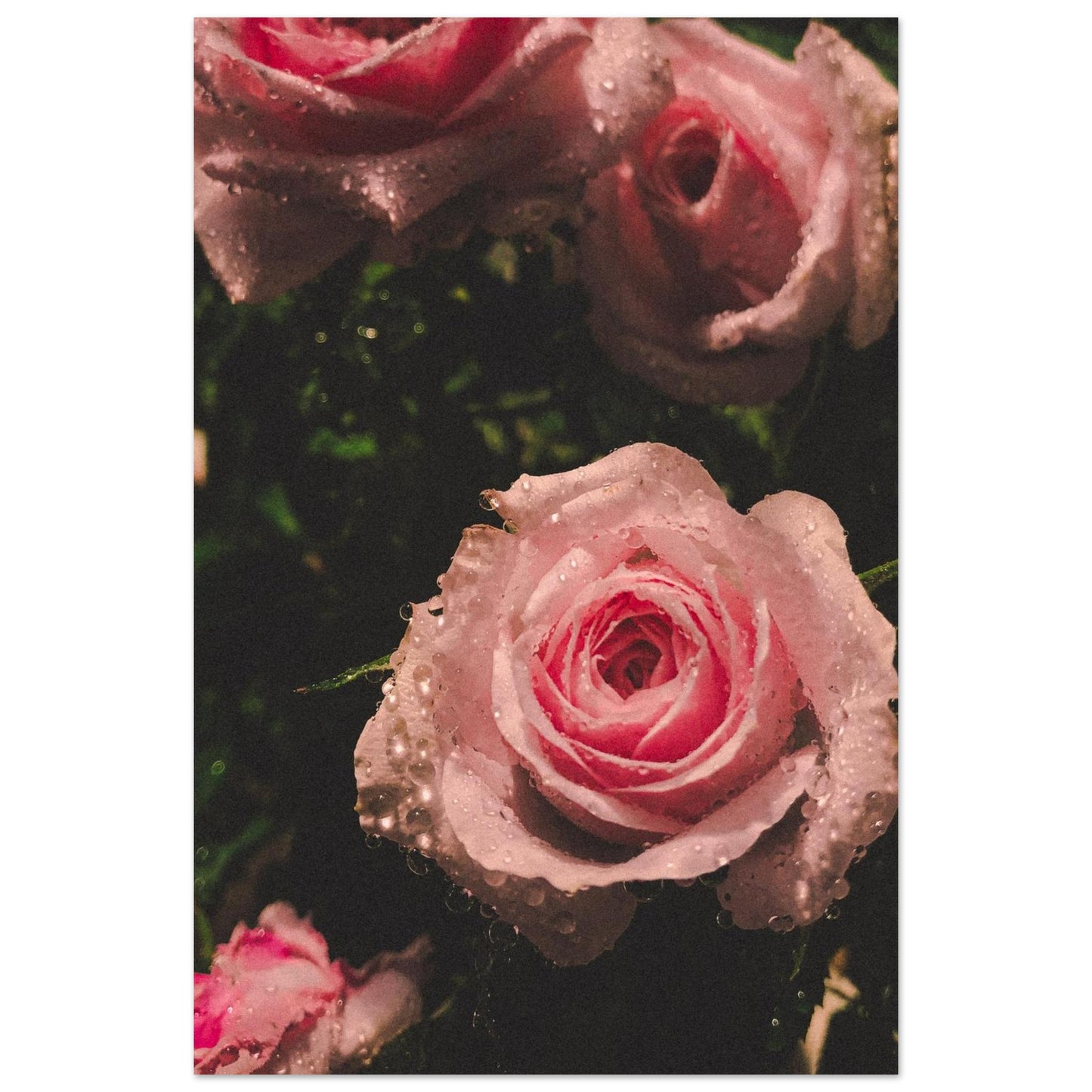 c1400bc0-09dc-43ad-b6b4-6dce09c07cd6