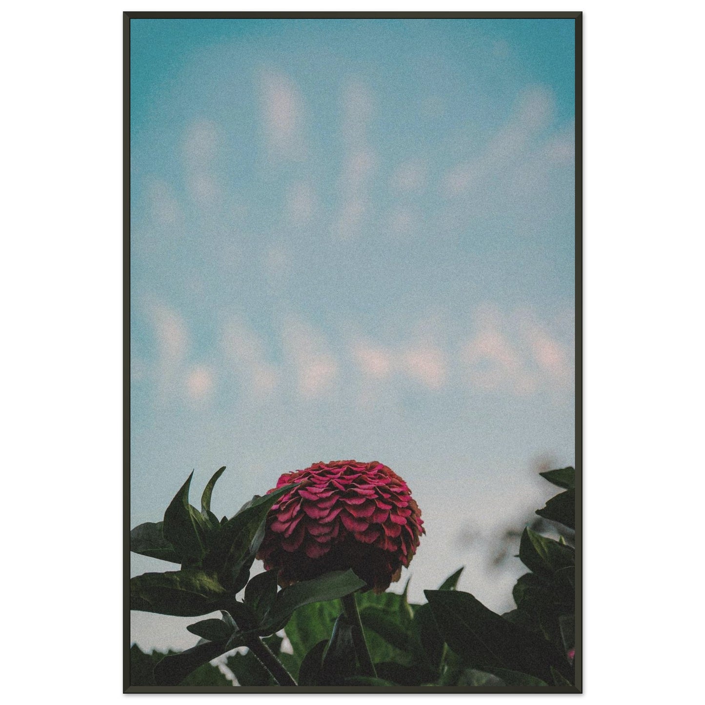 c14b24e3-1a1d-46b7-8ec3-94fc5e486865