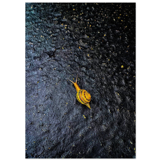 c3ba274c-eb13-4170-959e-45926b3ffeb4