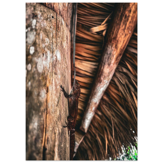 c4dd76e4-2ccc-4626-981a-14eb160f6d33