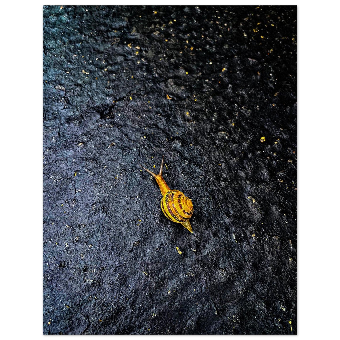 c7e59ffd-abc9-44fe-86bb-951e5d2049be