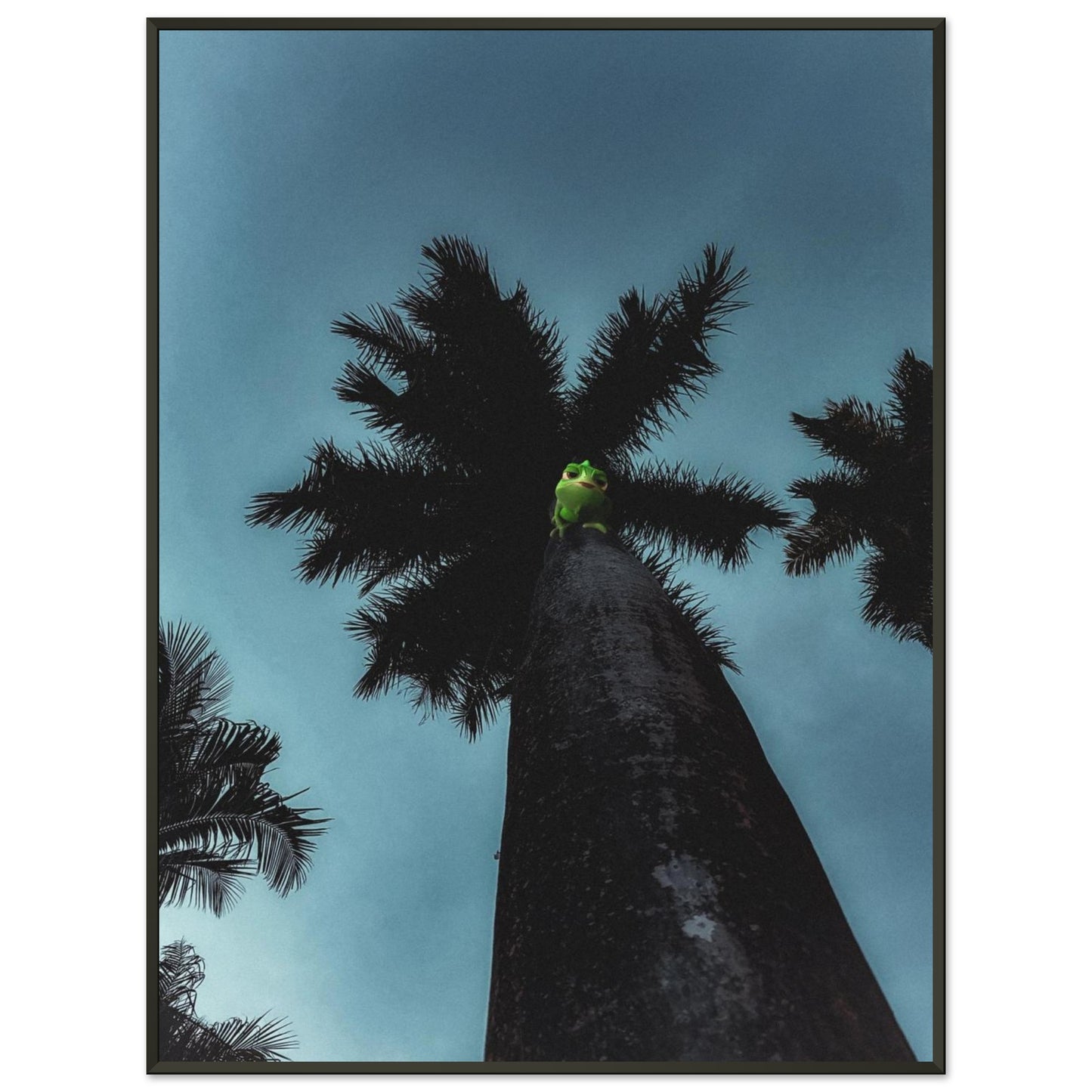 c7ed986d-241f-49ef-95d4-f65882489f1c