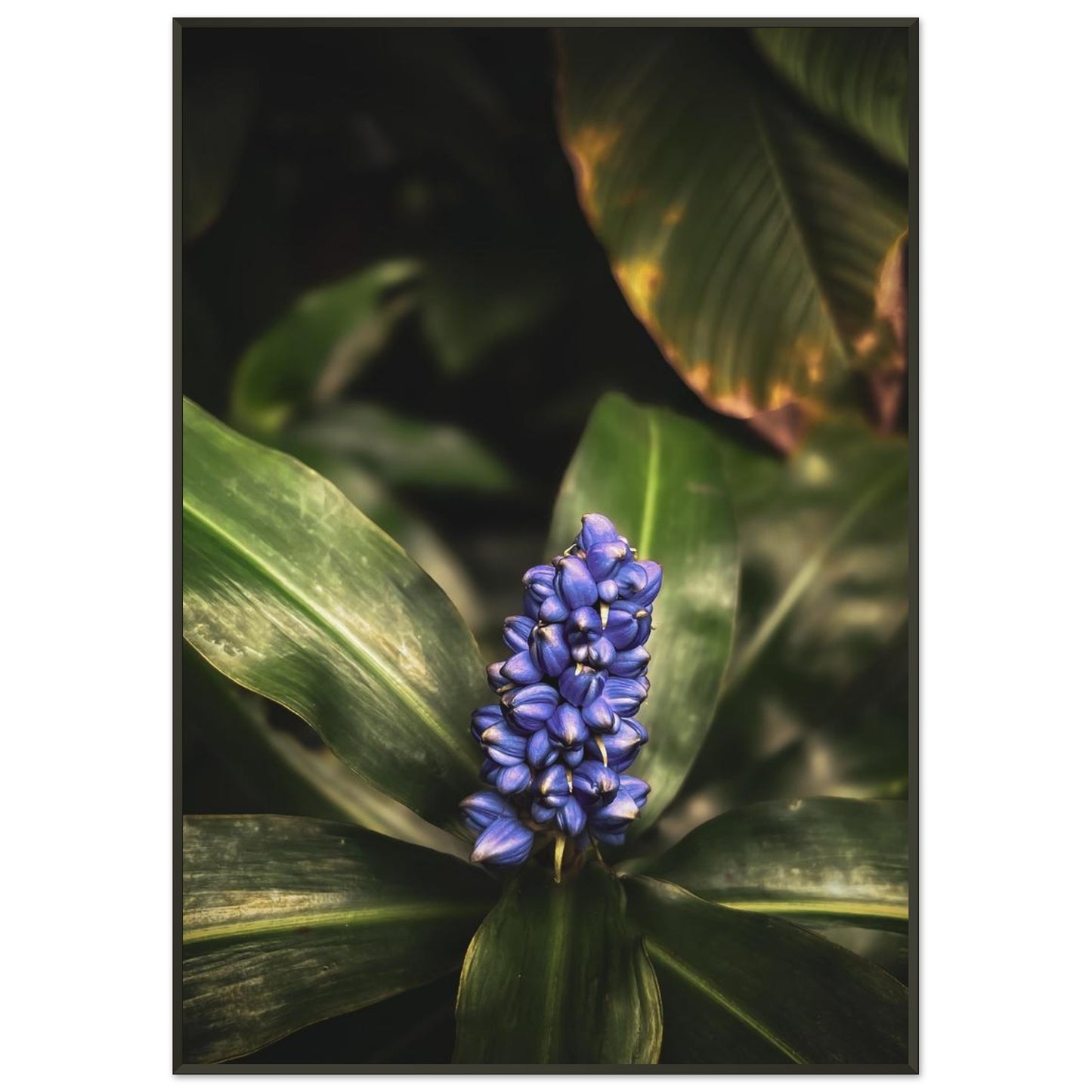 c8c60d95-e4aa-4f93-bb11-019d8355e400