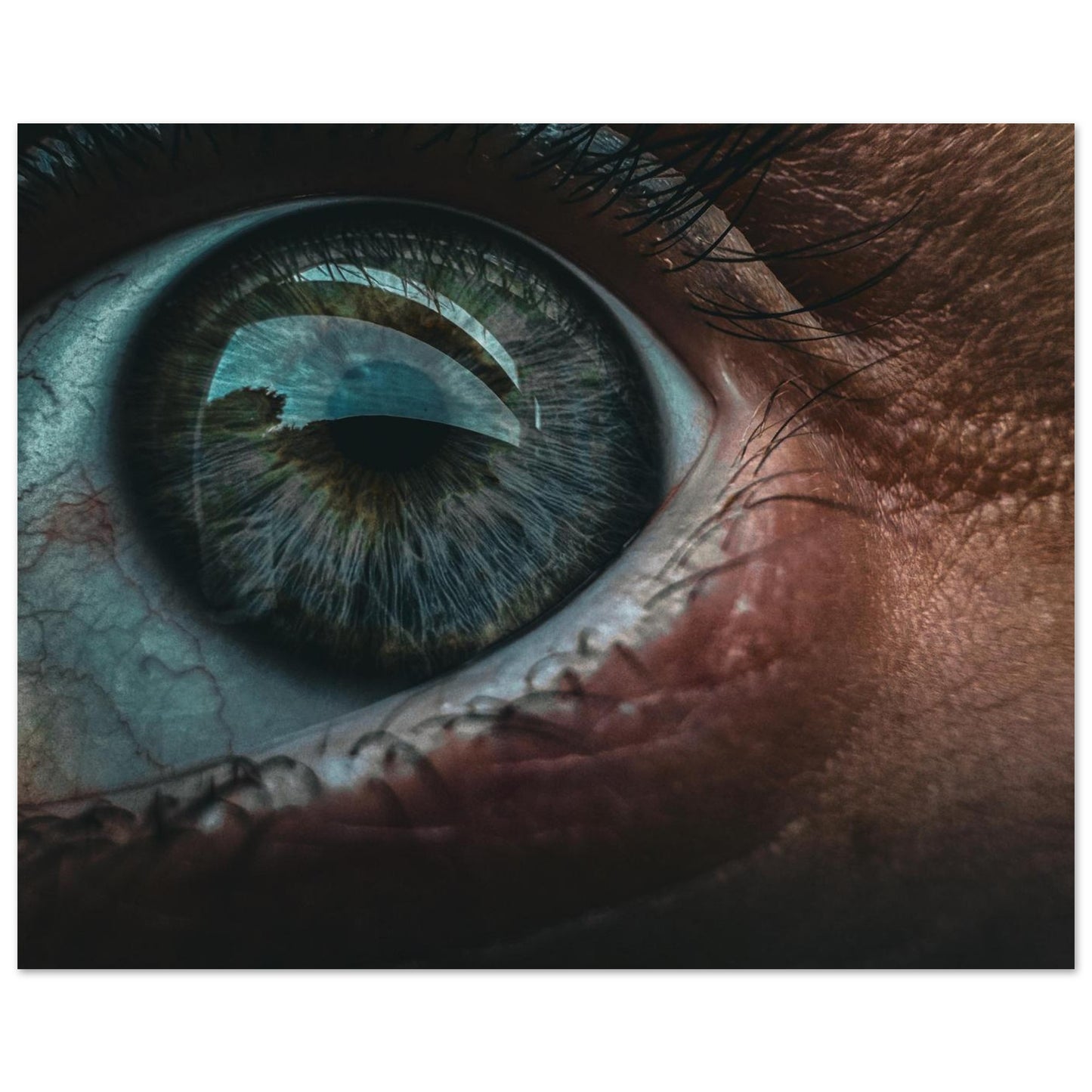 c9262710-a712-4bf6-bbc7-66be229b2304