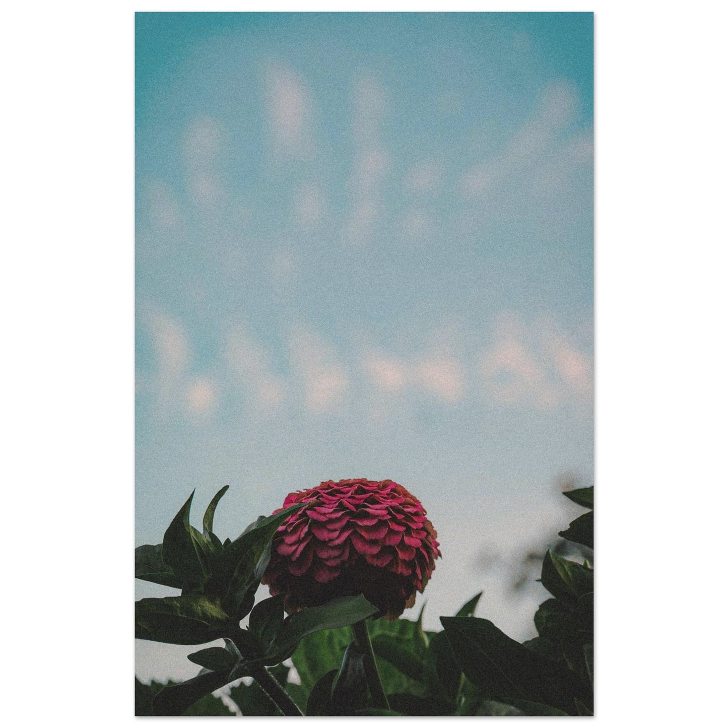 c9316d6c-d69c-4a23-9423-62999e9a7c15