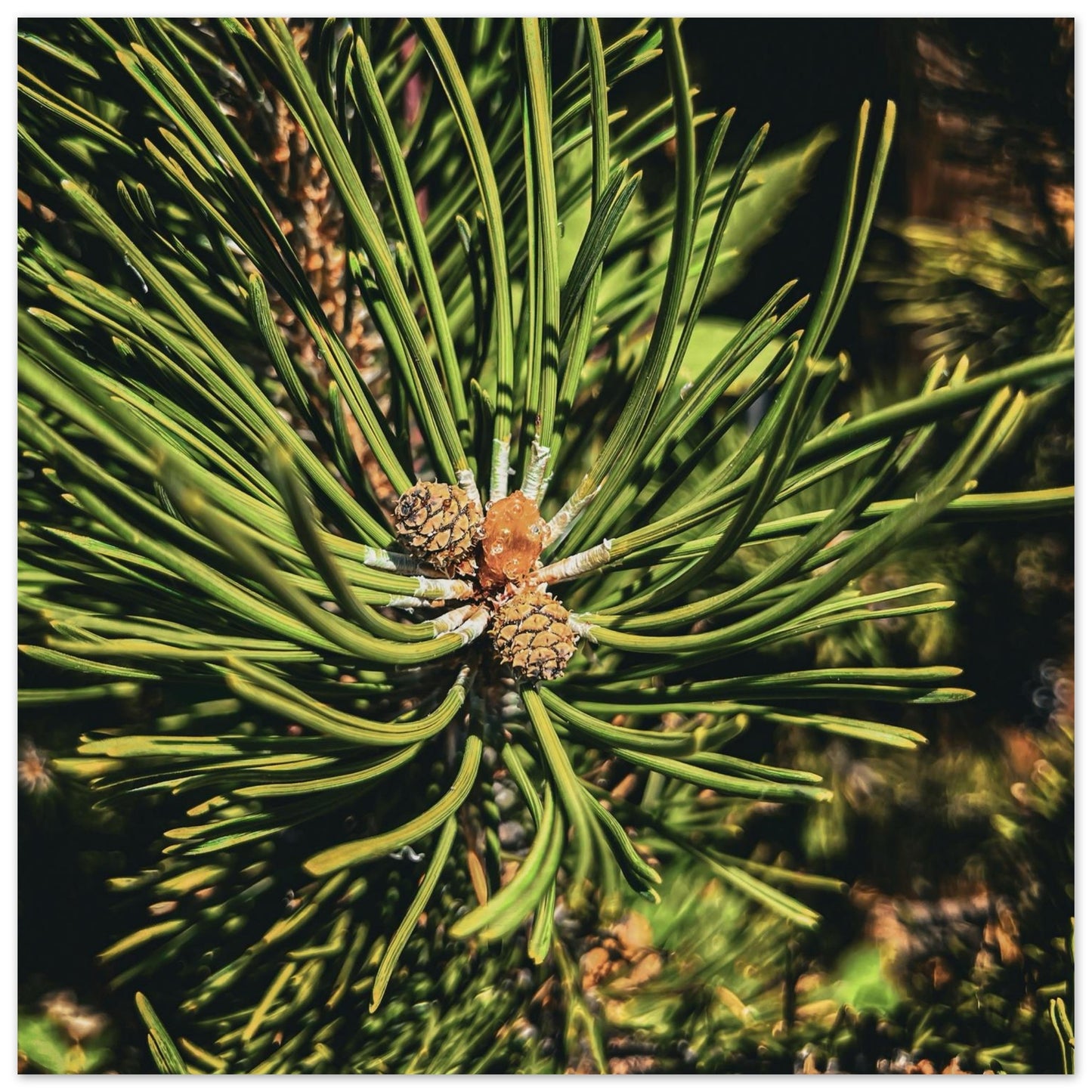 cbb3ae89-4f2f-49ae-aa44-7fa95d2c5a3f