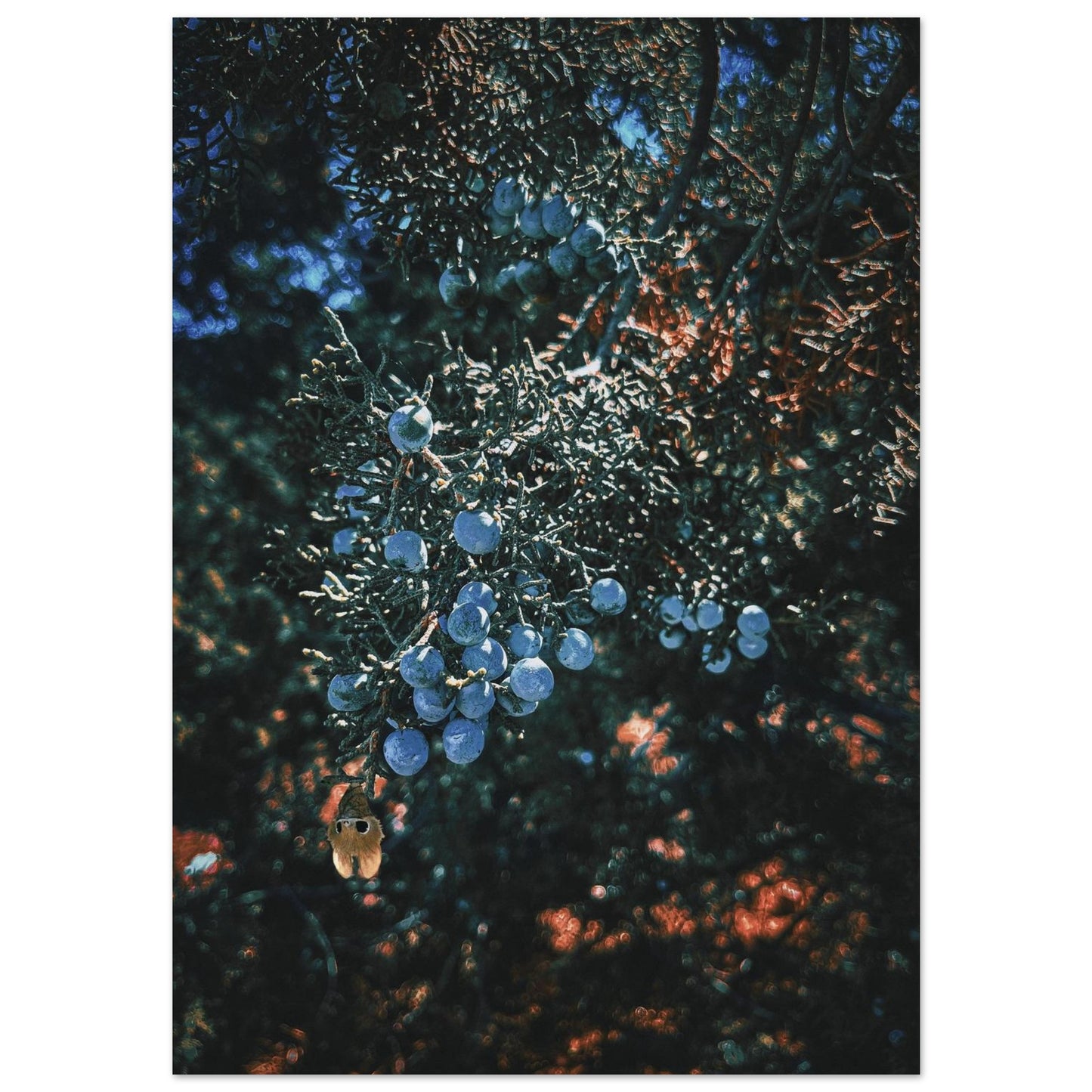 cbfd353a-47b9-4ffc-9ba0-0a3dc0a87ab2