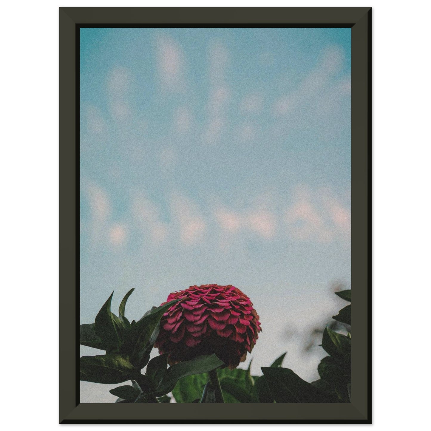 cd5afdfc-877e-4dae-8ea9-35af4fdc1ec6