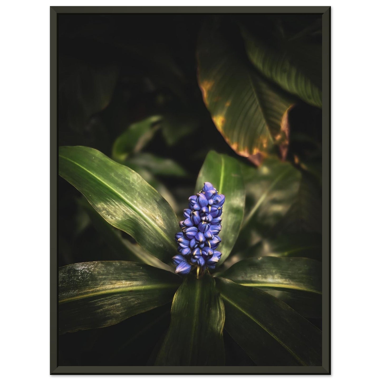 ceb11f80-5066-4aa1-96e6-6f004e2f784c