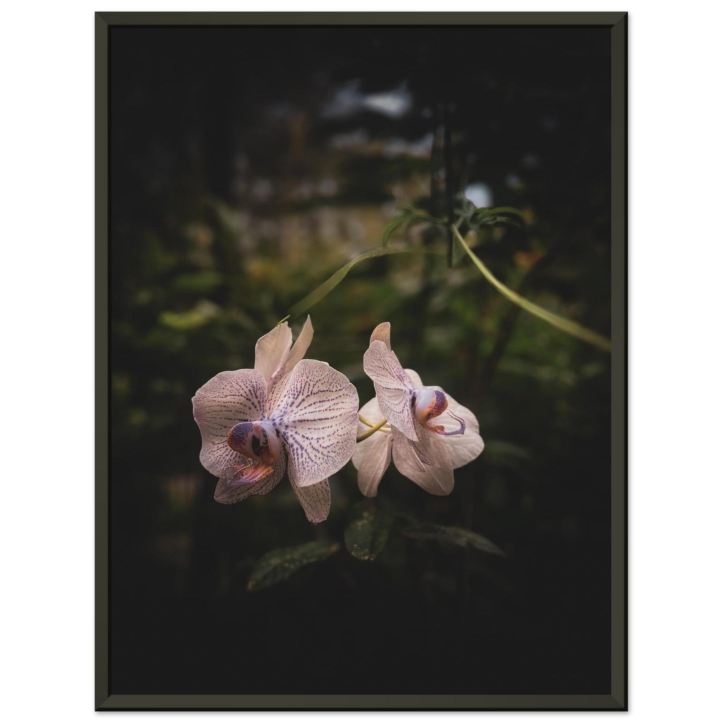 cf82f8fe-88f3-4b71-a9c9-c3a42474a2e6