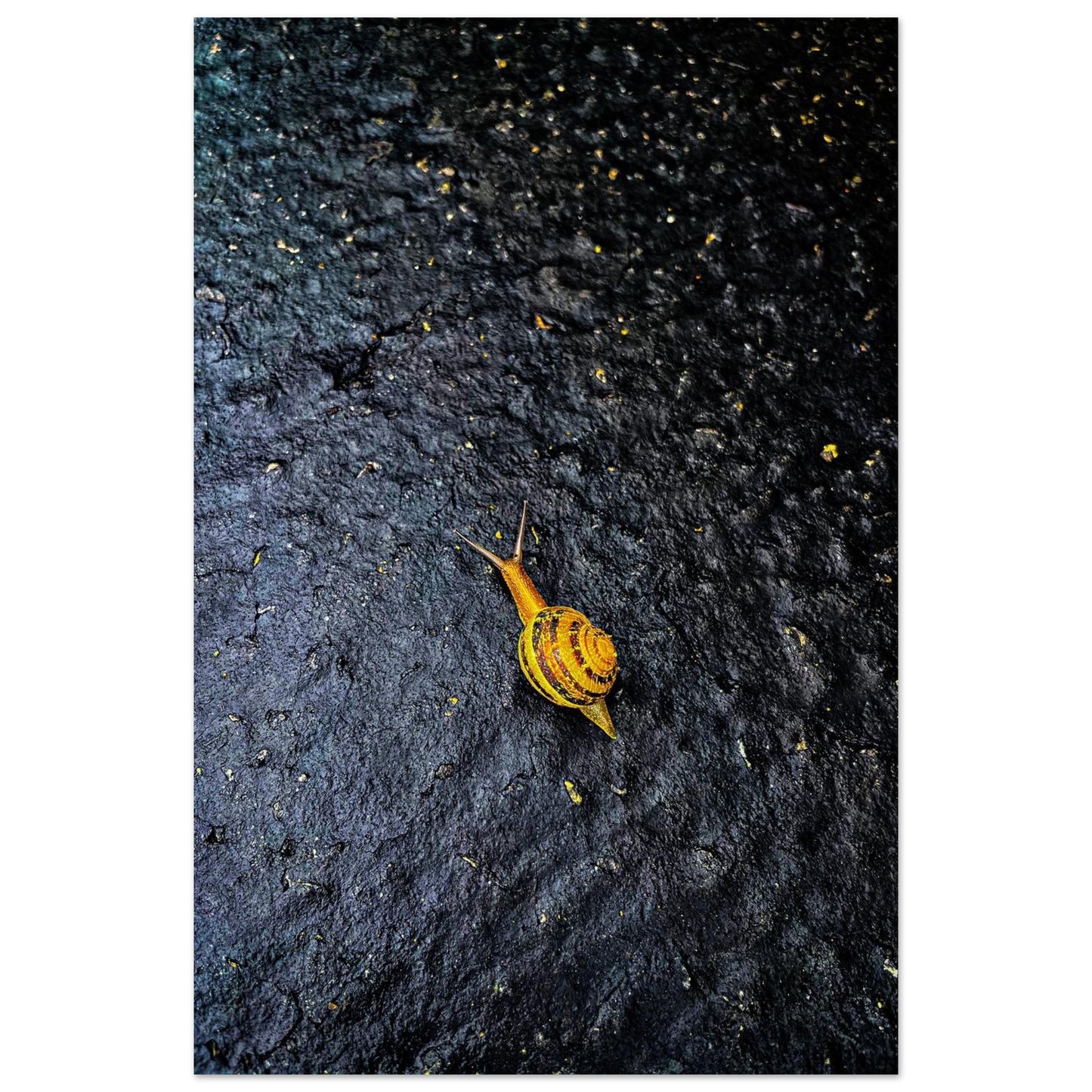 d24aa444-96b8-4a49-b435-2ca1ab2f7d65