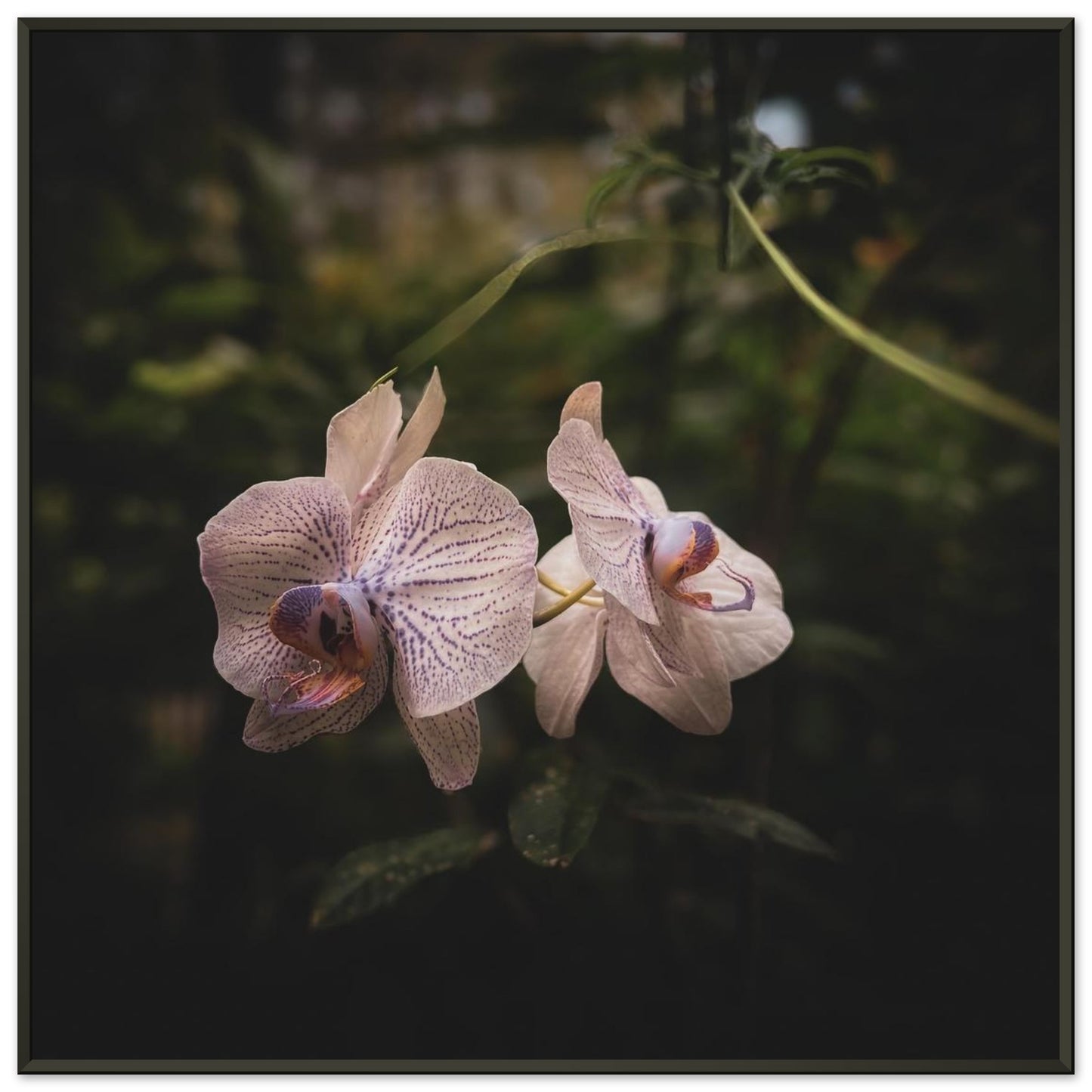 d2b711e7-c785-4345-a87e-2dd78b764c56